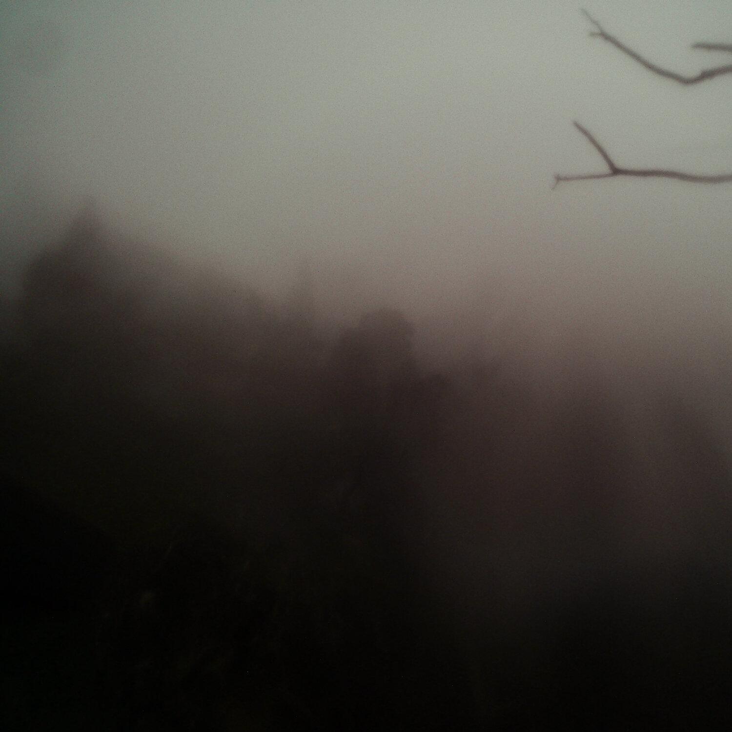 A photo captured from the webcam at the time the audio was recorded