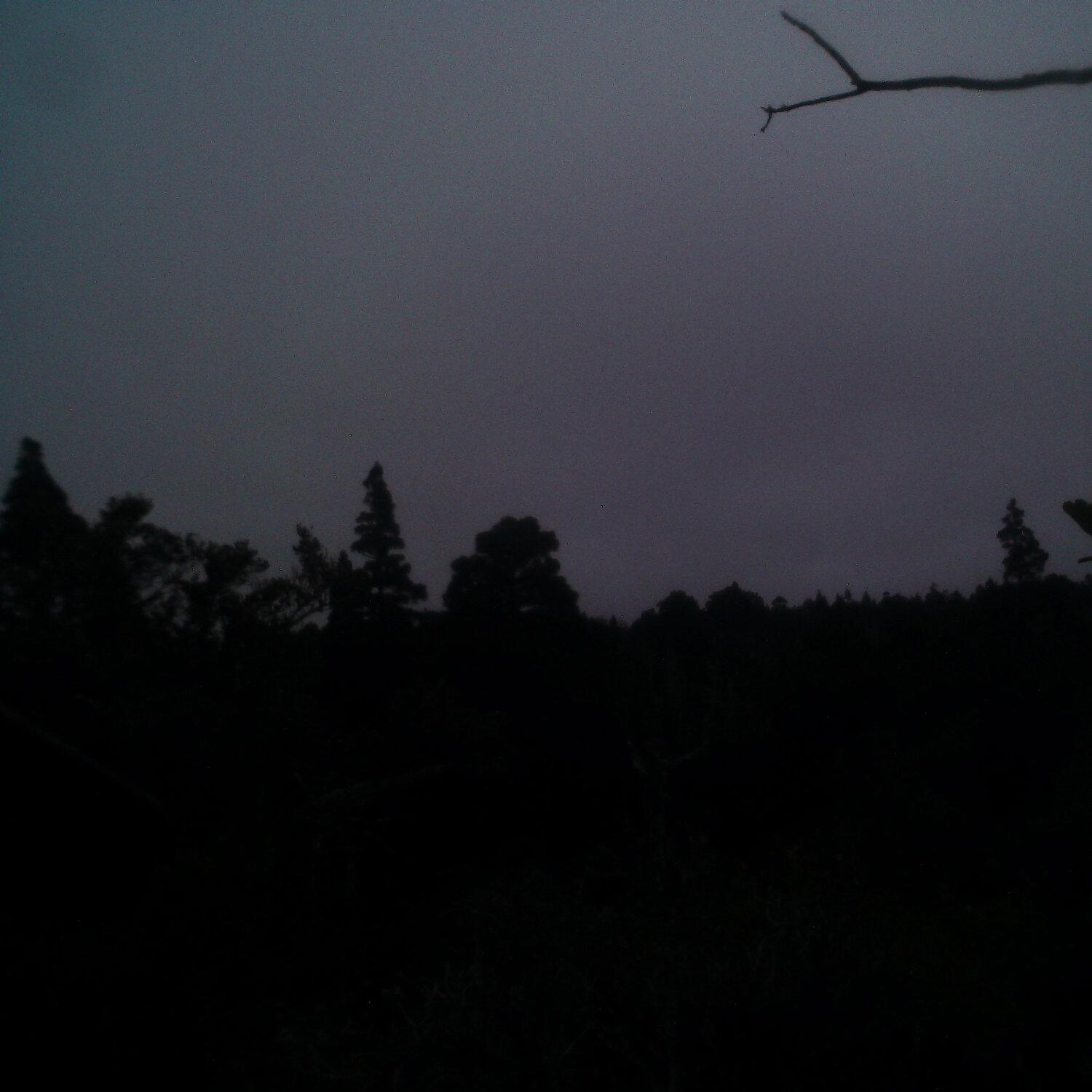 A photo captured from the webcam at the time the audio was recorded