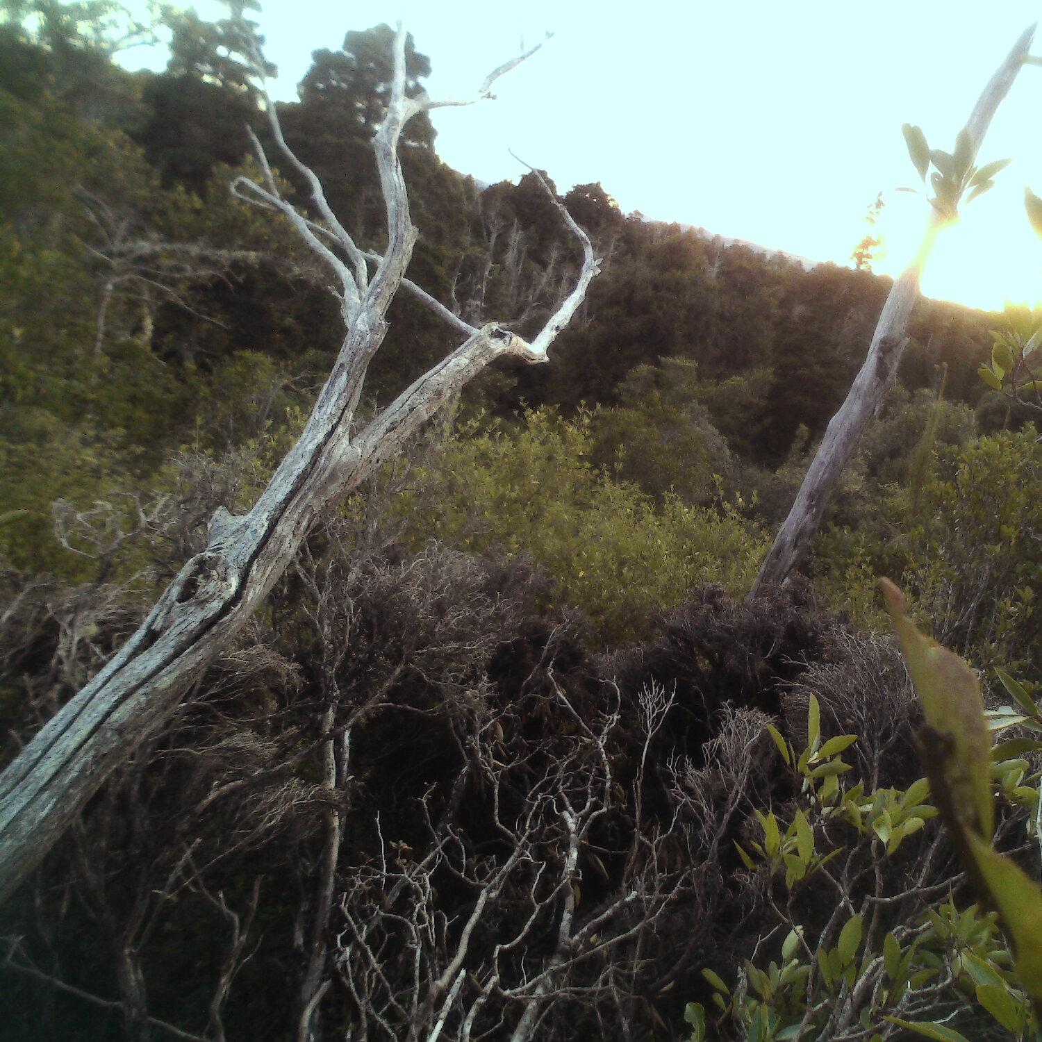 A photo captured from the webcam at the time the audio was recorded