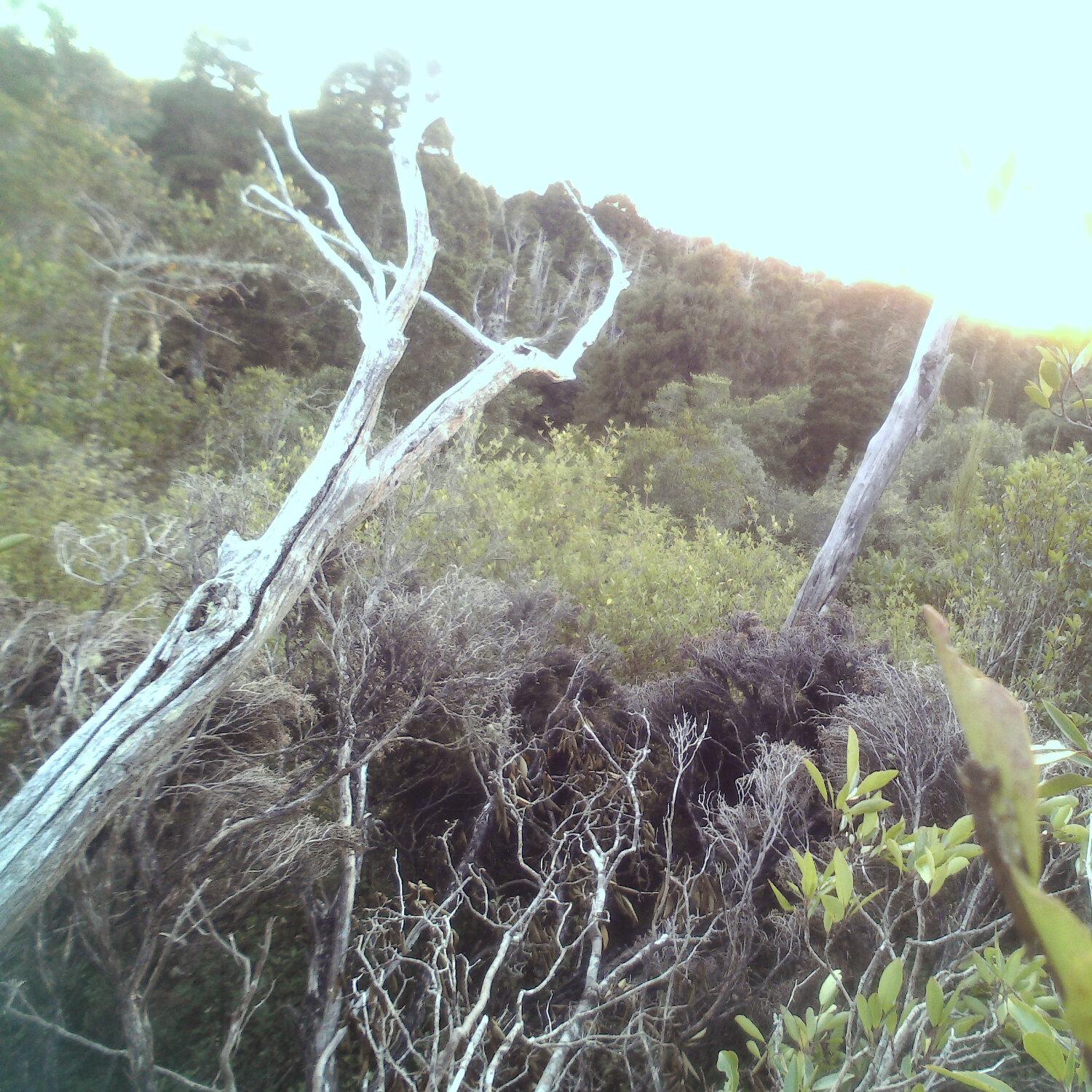 A photo captured from the webcam at the time the audio was recorded