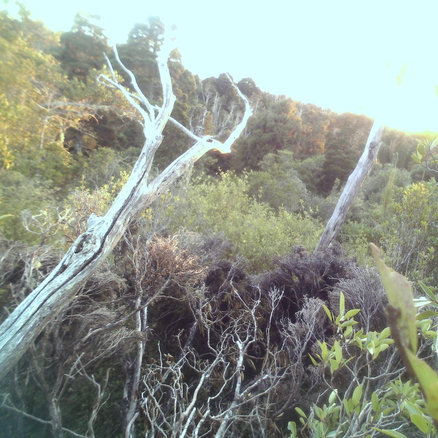 A photo captured from the webcam at the time the audio was recorded