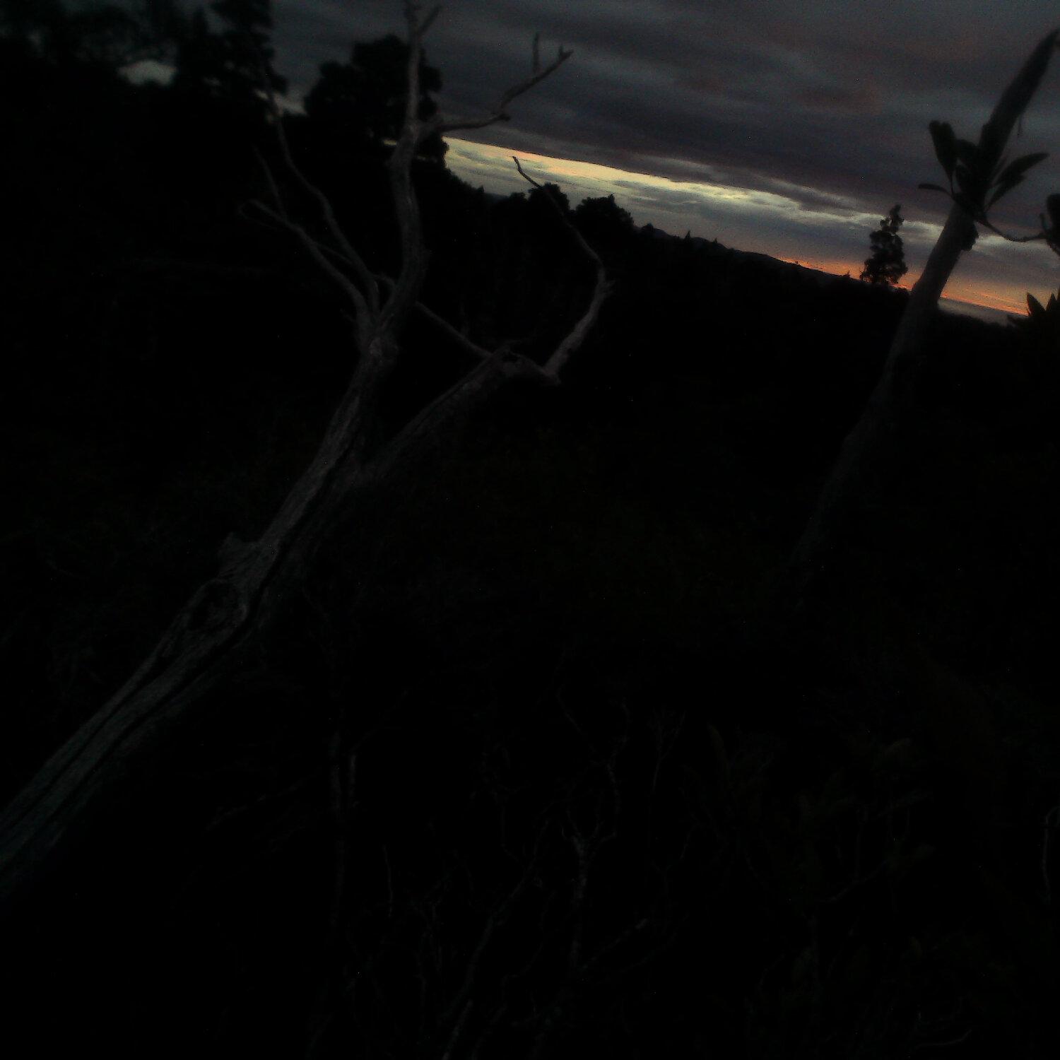 A photo captured from the webcam at the time the audio was recorded
