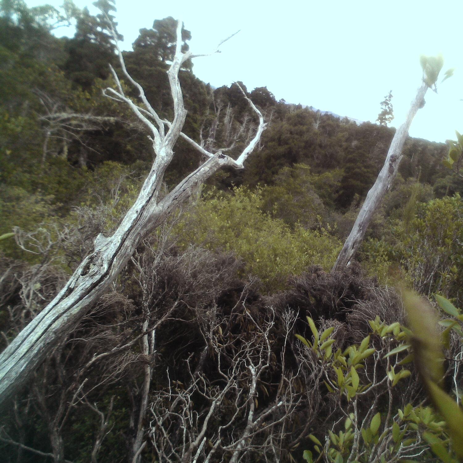 A photo captured from the webcam at the time the audio was recorded