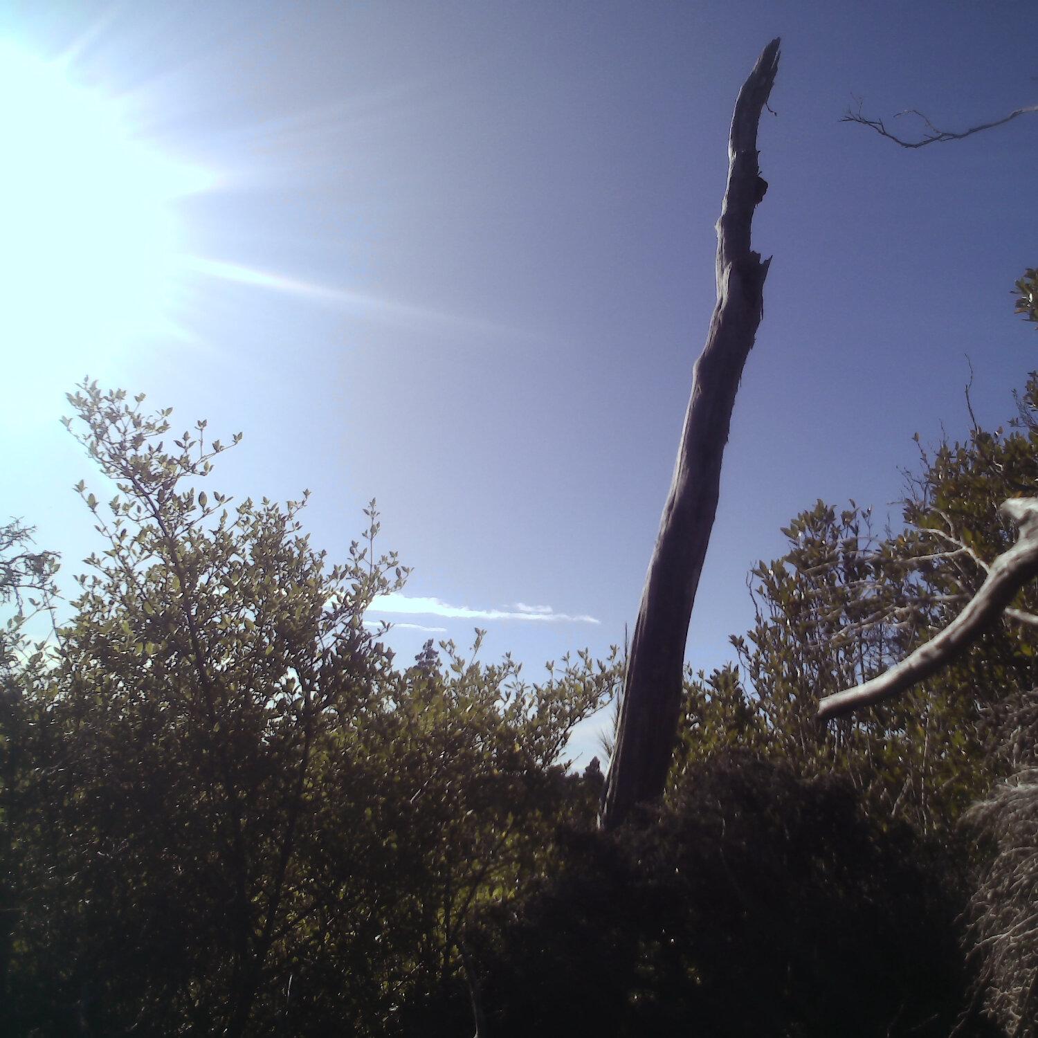 A photo captured from the webcam at the time the audio was recorded