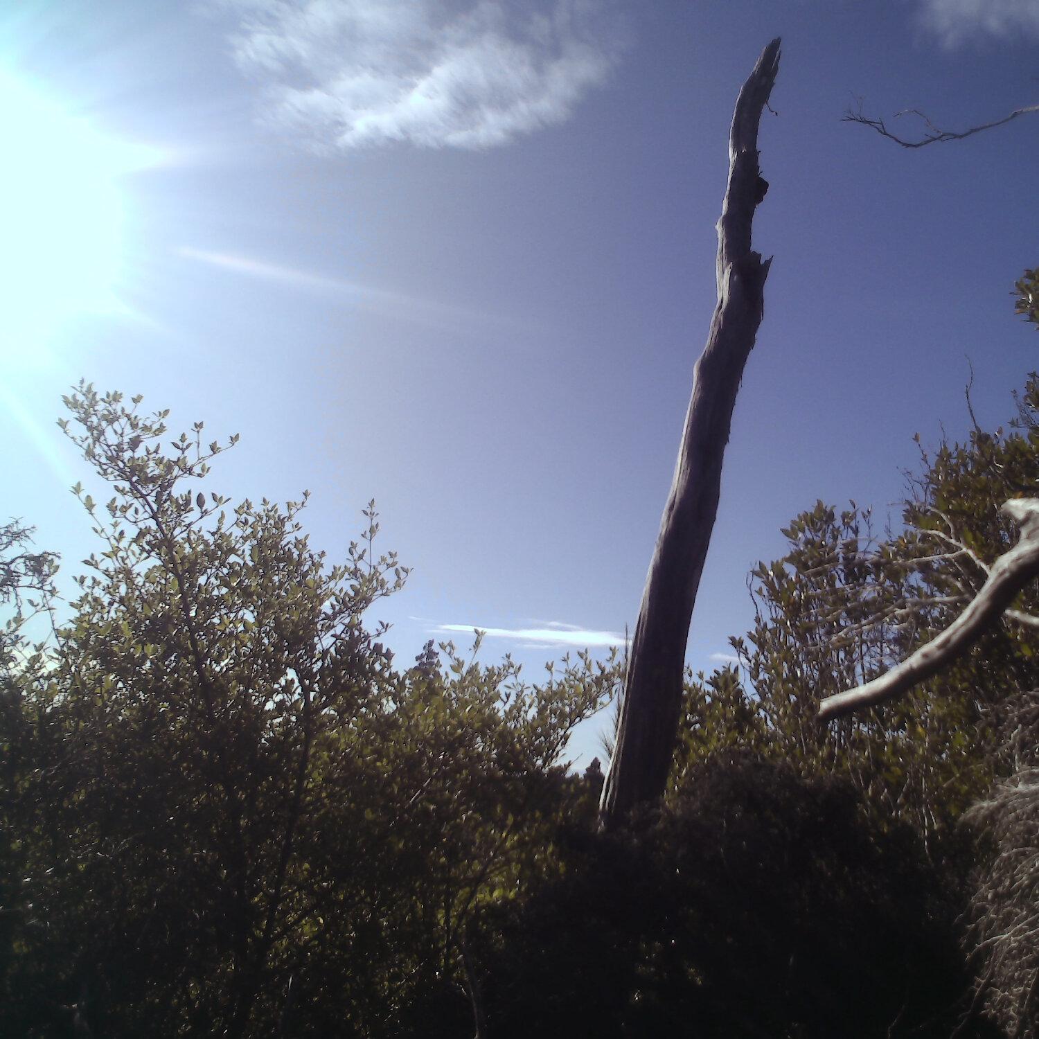 A photo captured from the webcam at the time the audio was recorded