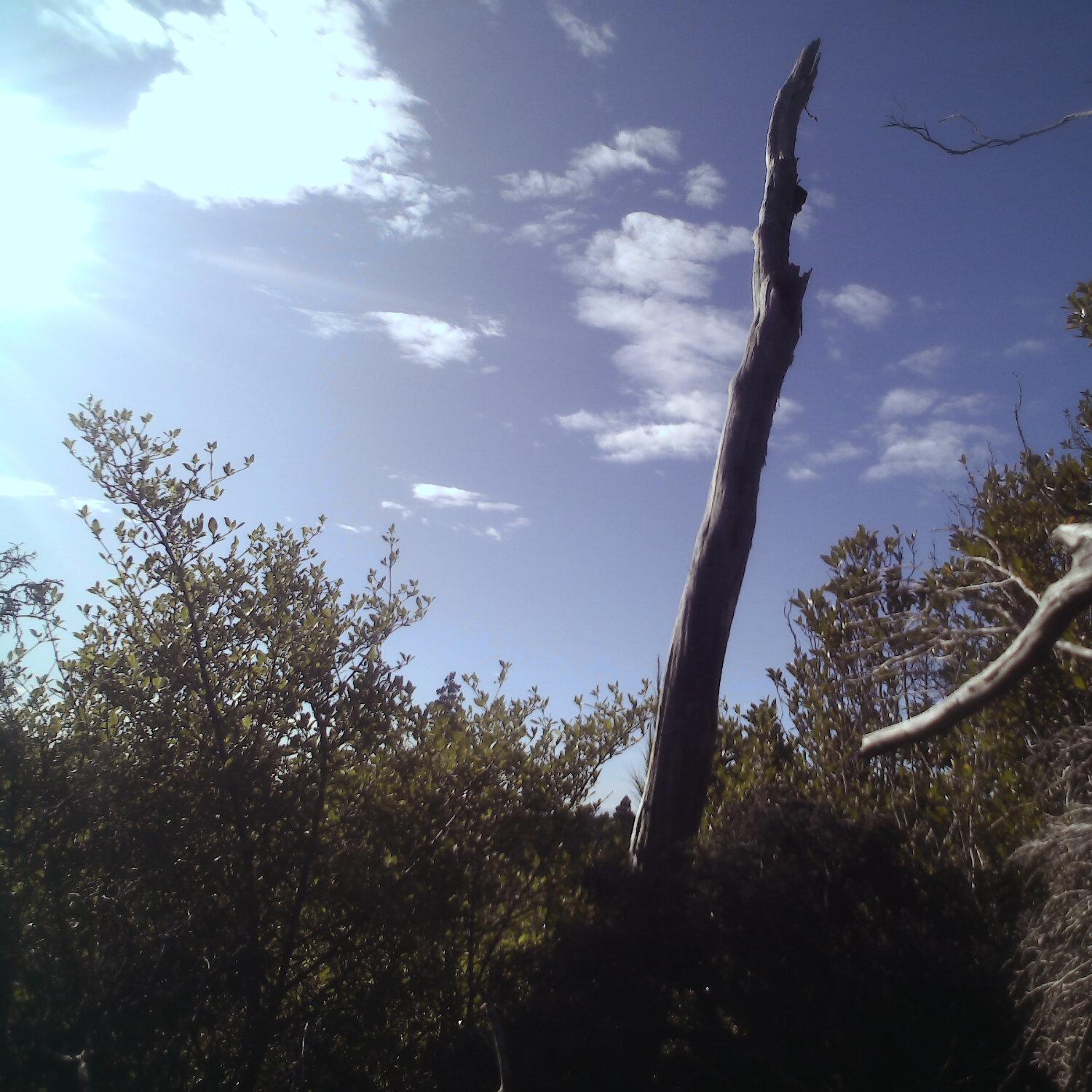 A photo captured from the webcam at the time the audio was recorded