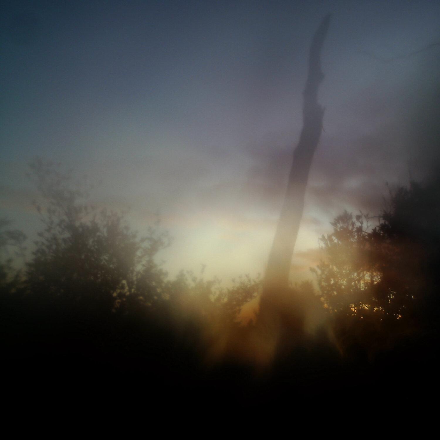 A photo captured from the webcam at the time the audio was recorded