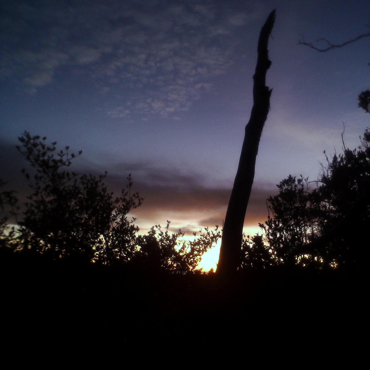 A photo captured from the webcam at the time the audio was recorded