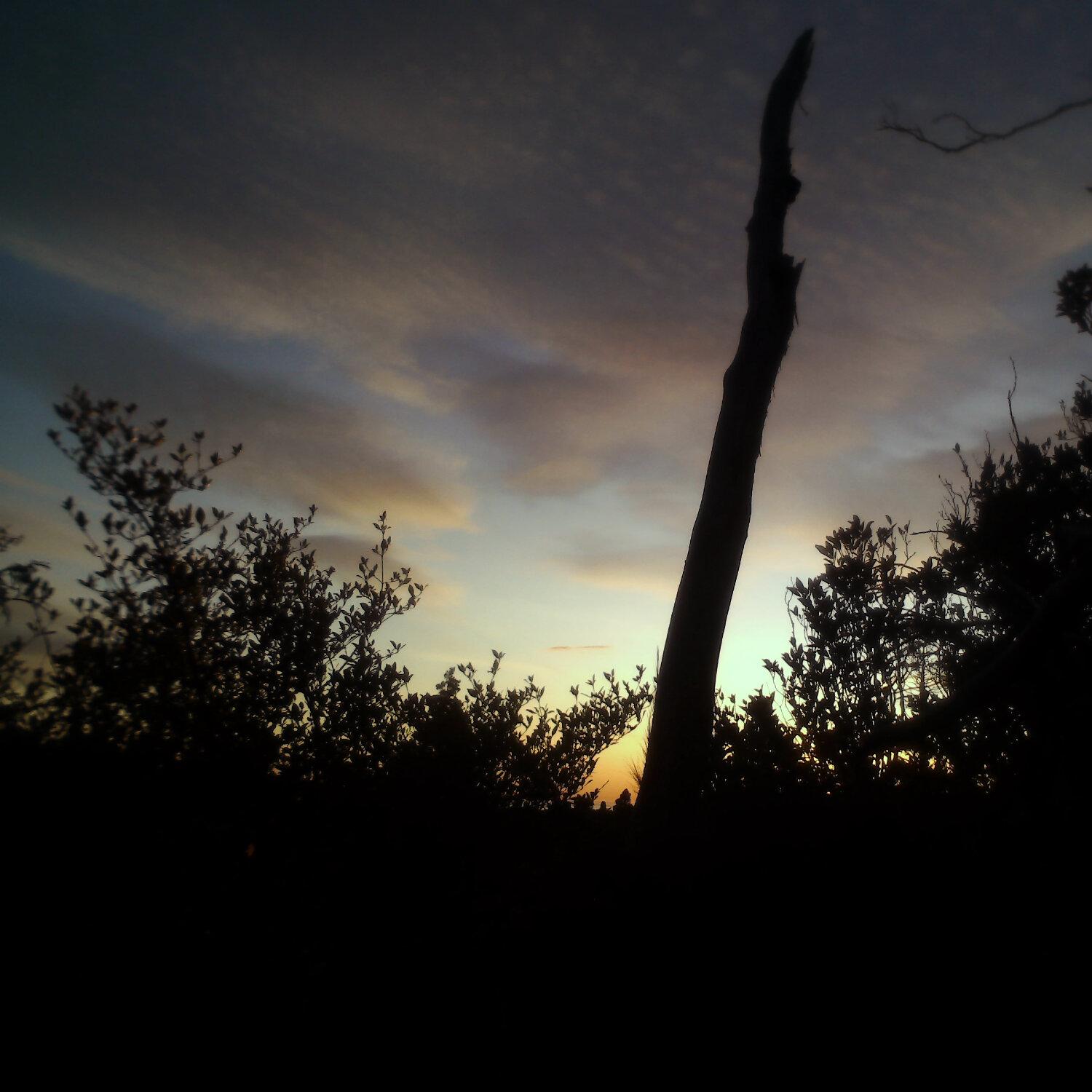 A photo captured from the webcam at the time the audio was recorded