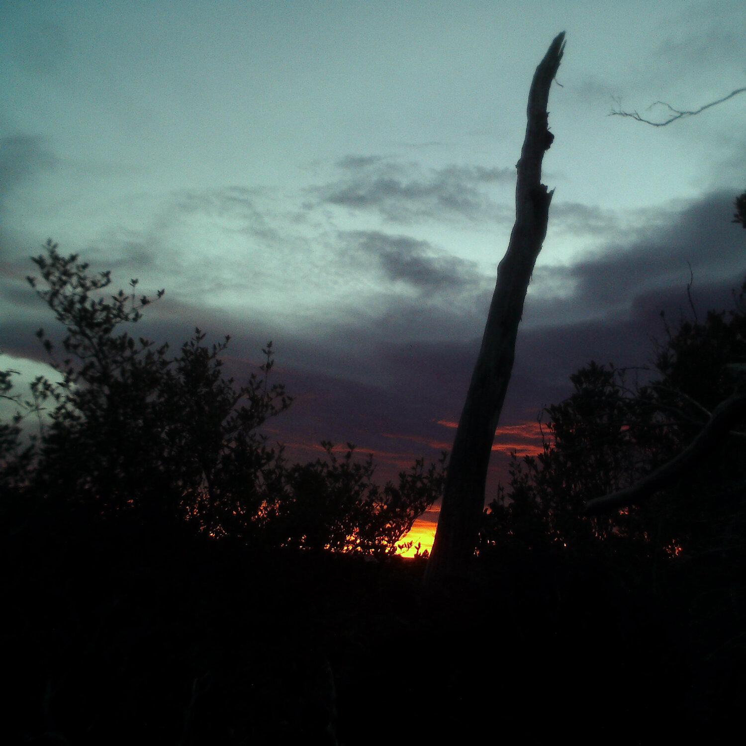 A photo captured from the webcam at the time the audio was recorded
