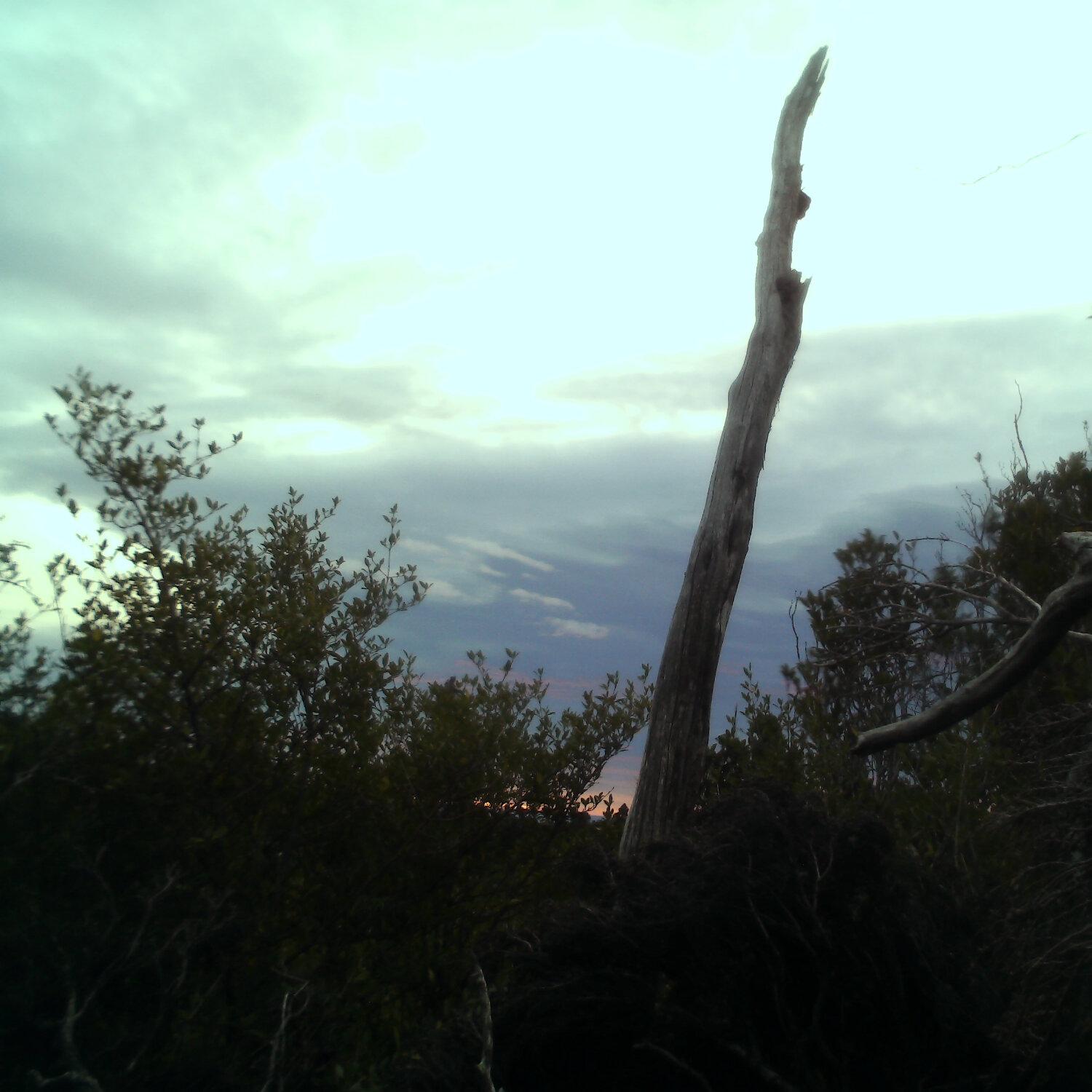 A photo captured from the webcam at the time the audio was recorded