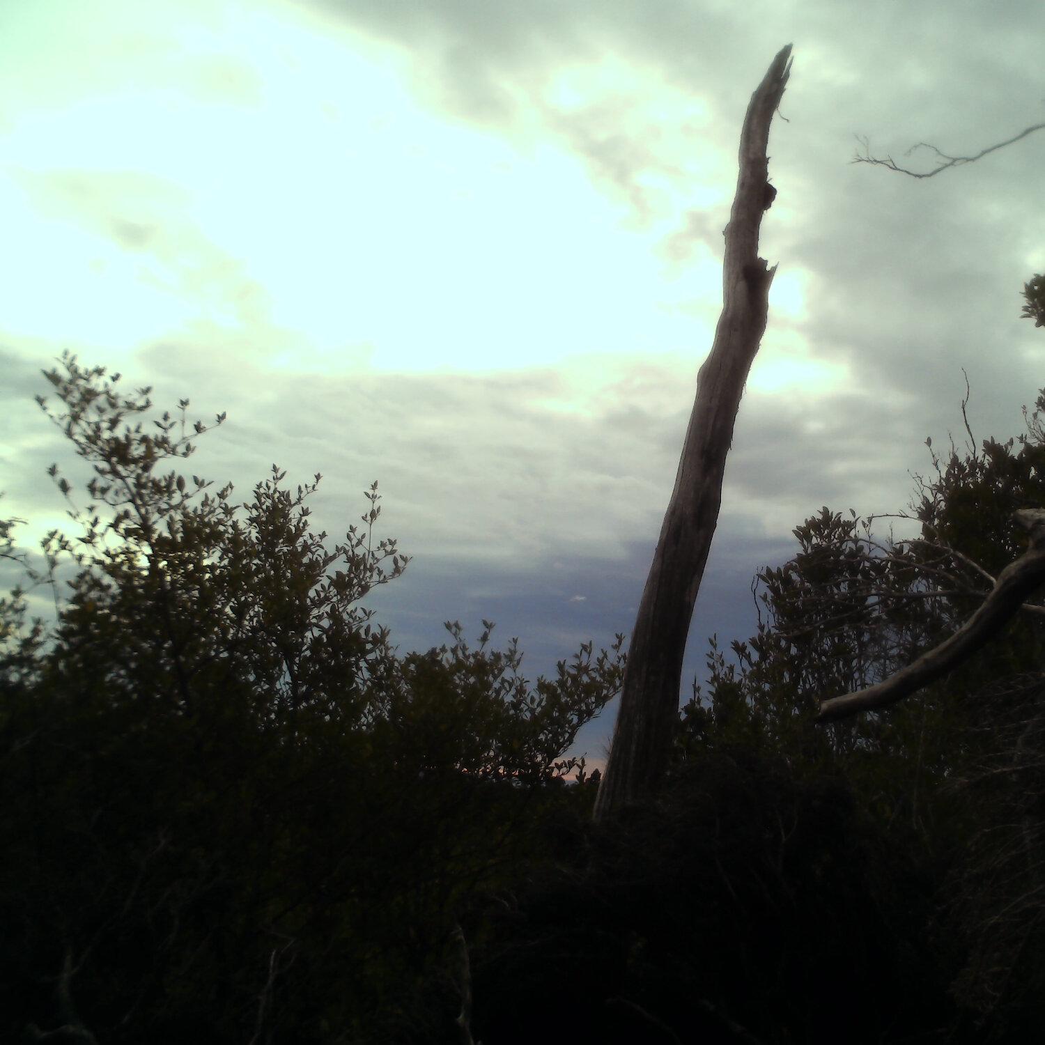 A photo captured from the webcam at the time the audio was recorded