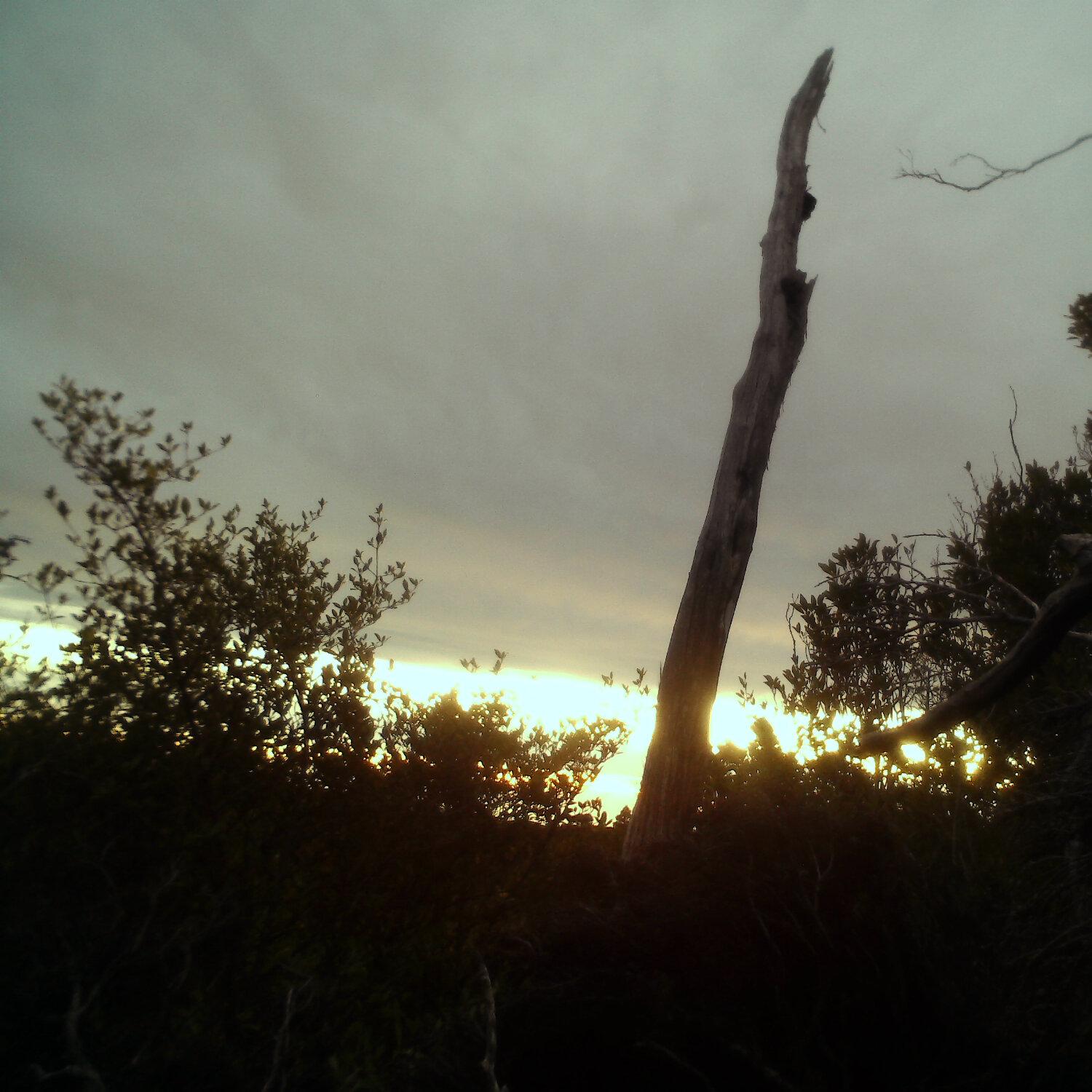 A photo captured from the webcam at the time the audio was recorded
