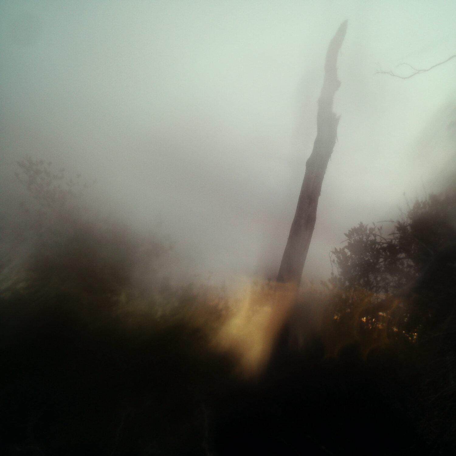 A photo captured from the webcam at the time the audio was recorded