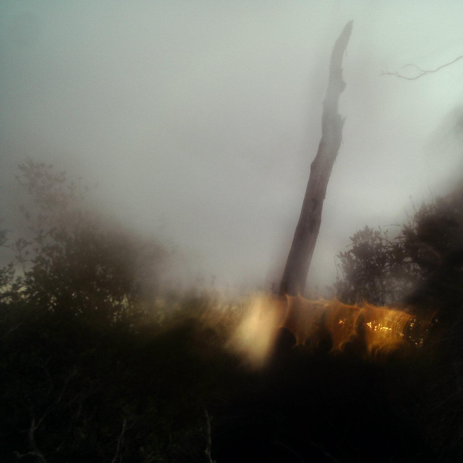 A photo captured from the webcam at the time the audio was recorded