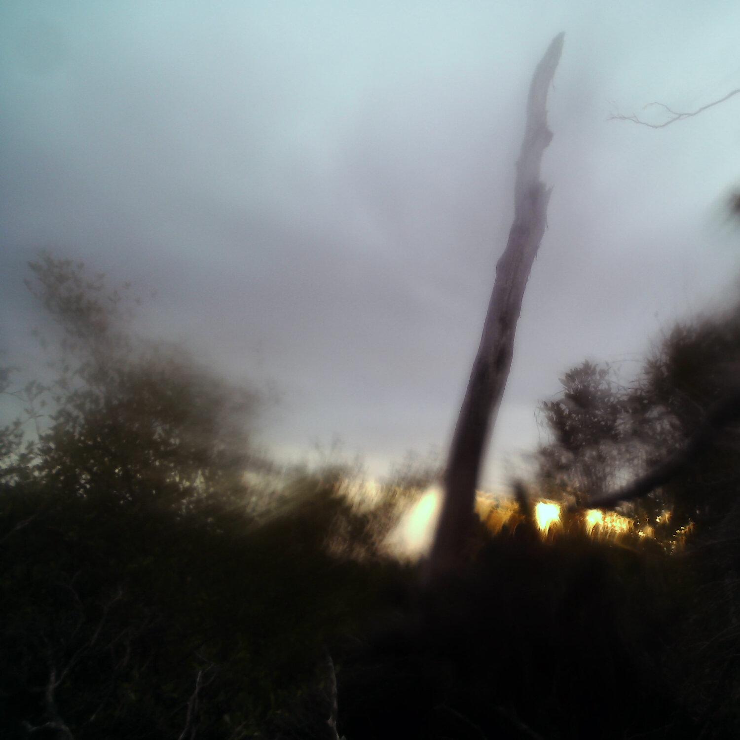 A photo captured from the webcam at the time the audio was recorded