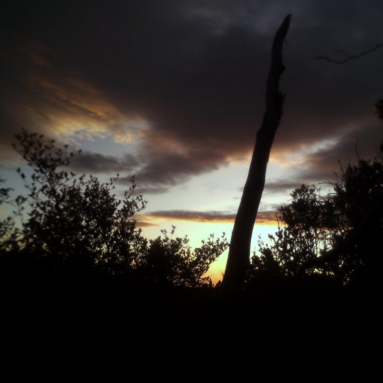 A photo captured from the webcam at the time the audio was recorded