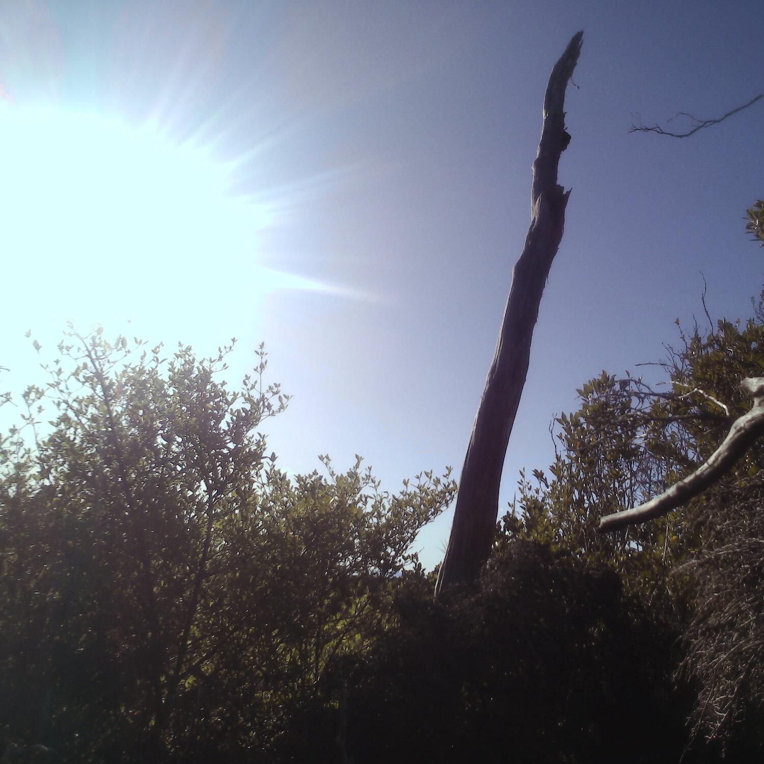 A photo captured from the webcam at the time the audio was recorded