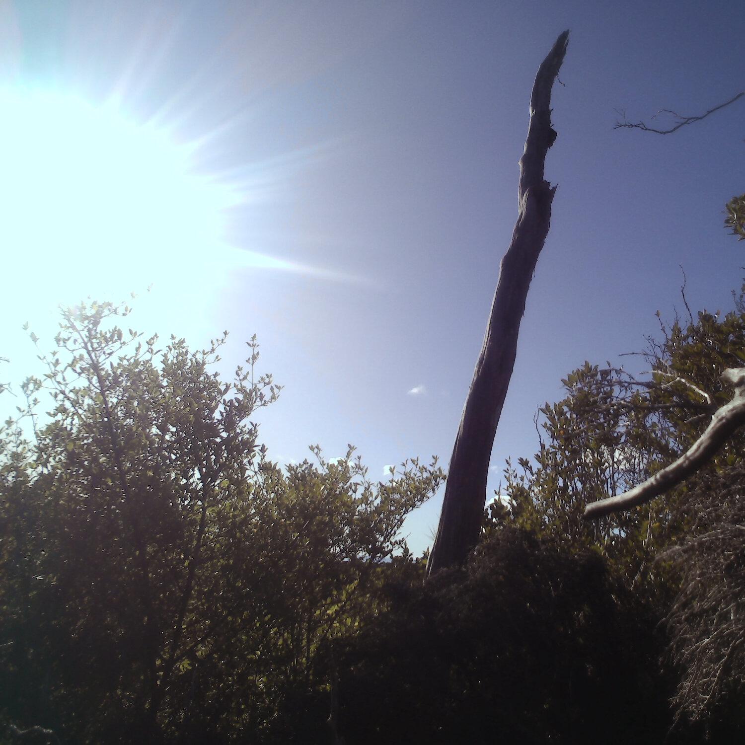 A photo captured from the webcam at the time the audio was recorded
