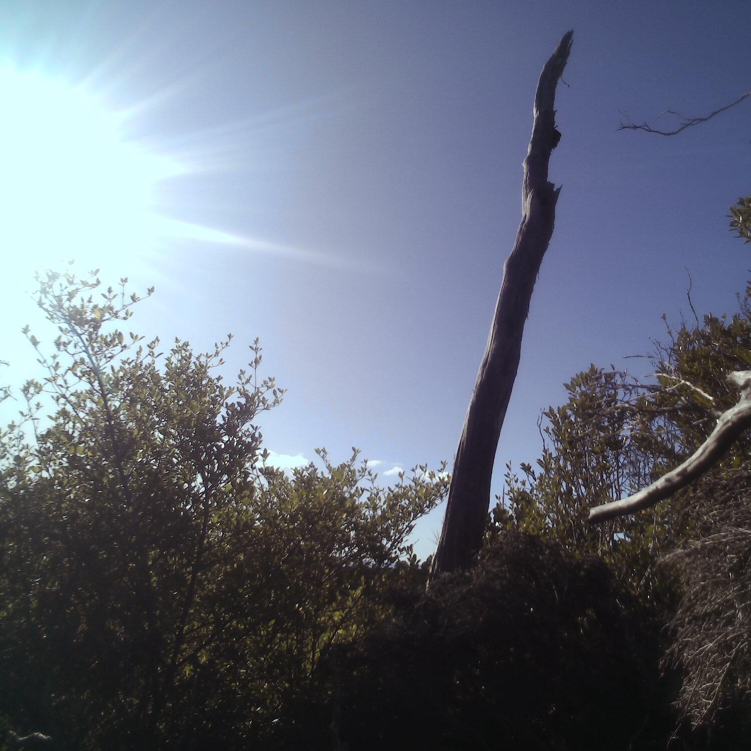 A photo captured from the webcam at the time the audio was recorded