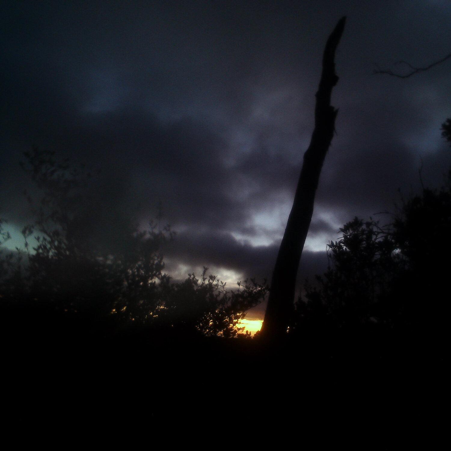 A photo captured from the webcam at the time the audio was recorded
