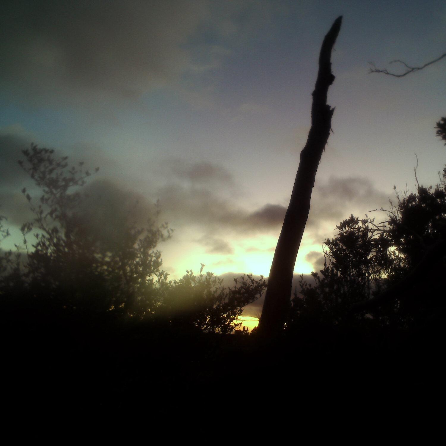 A photo captured from the webcam at the time the audio was recorded