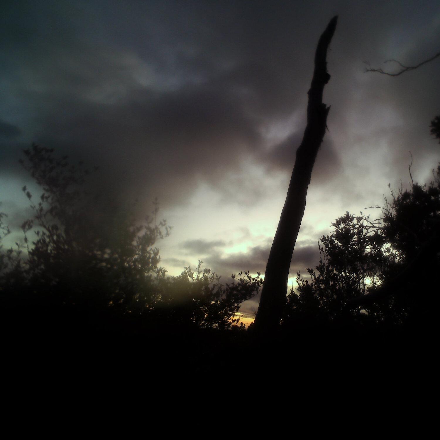 A photo captured from the webcam at the time the audio was recorded