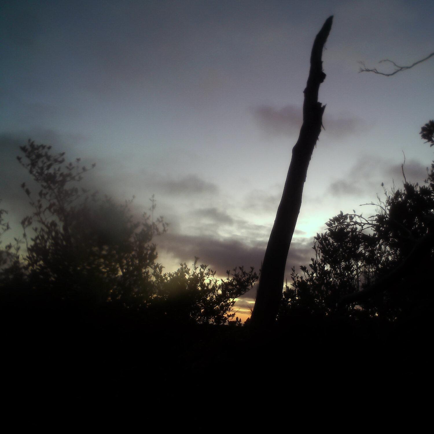 A photo captured from the webcam at the time the audio was recorded