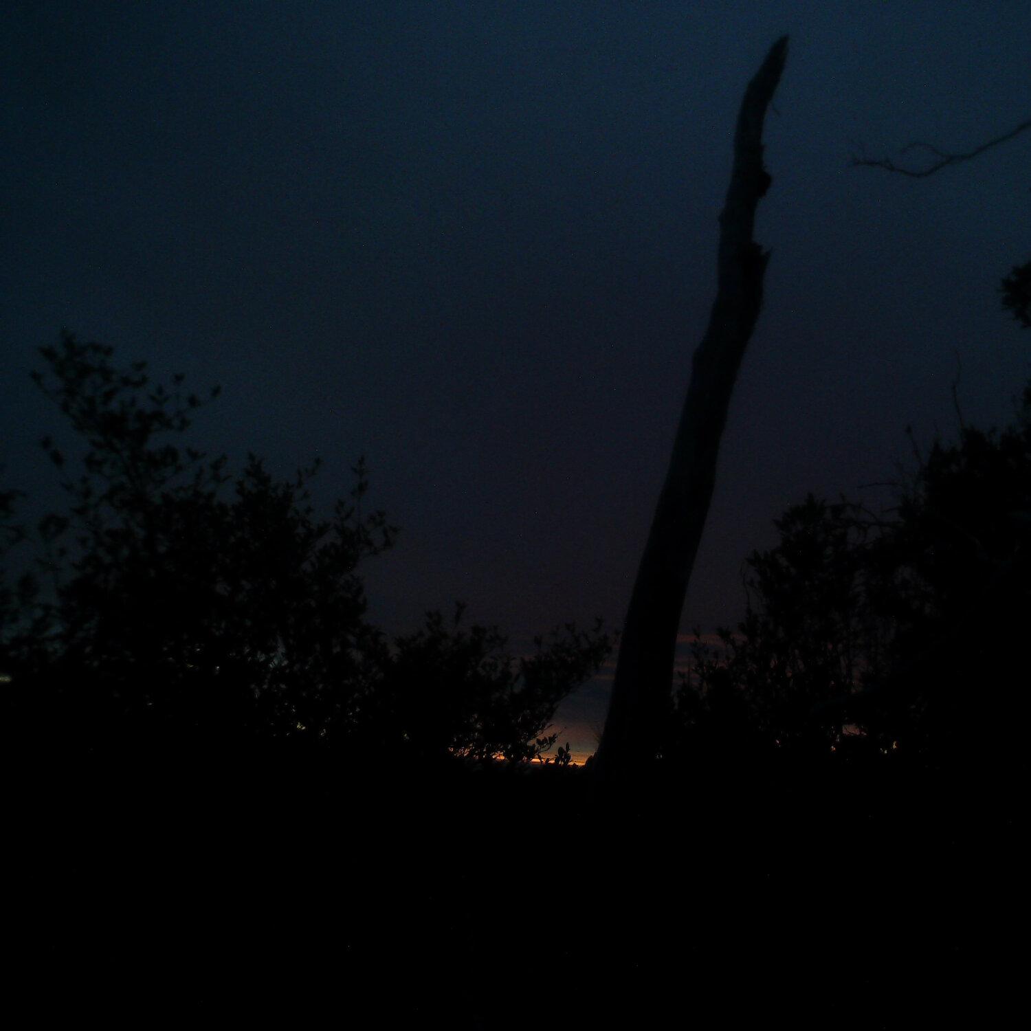 A photo captured from the webcam at the time the audio was recorded
