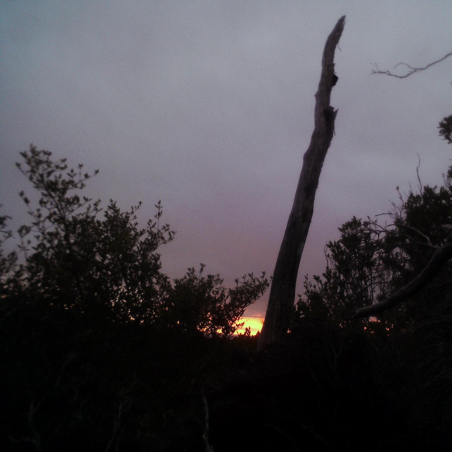 A photo captured from the webcam at the time the audio was recorded