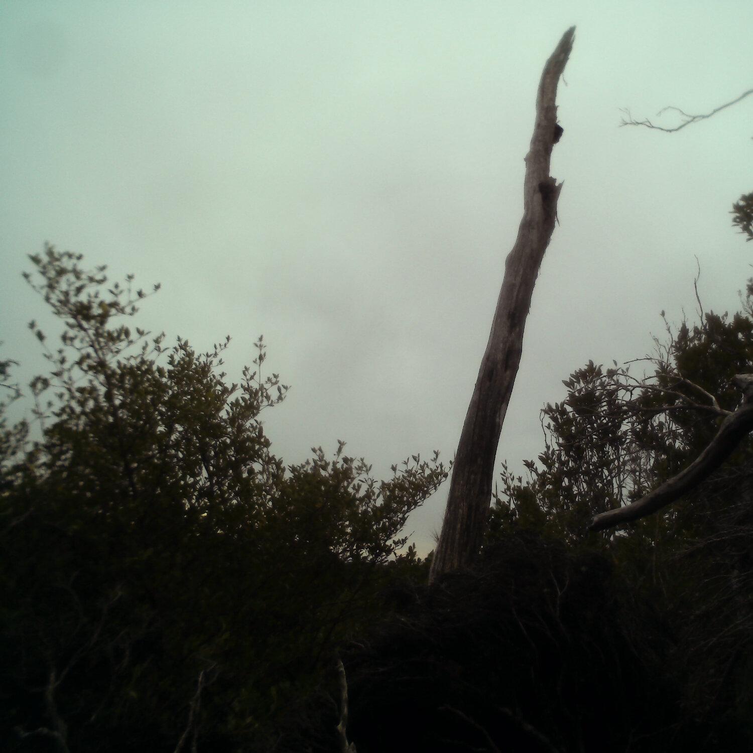 A photo captured from the webcam at the time the audio was recorded