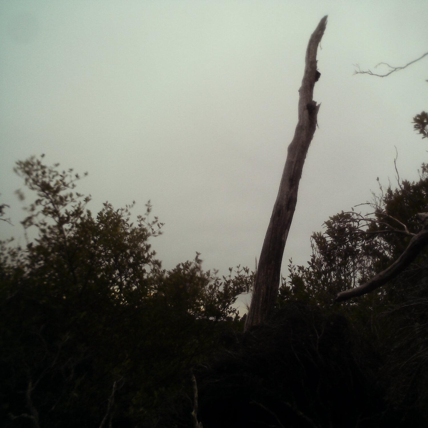 A photo captured from the webcam at the time the audio was recorded