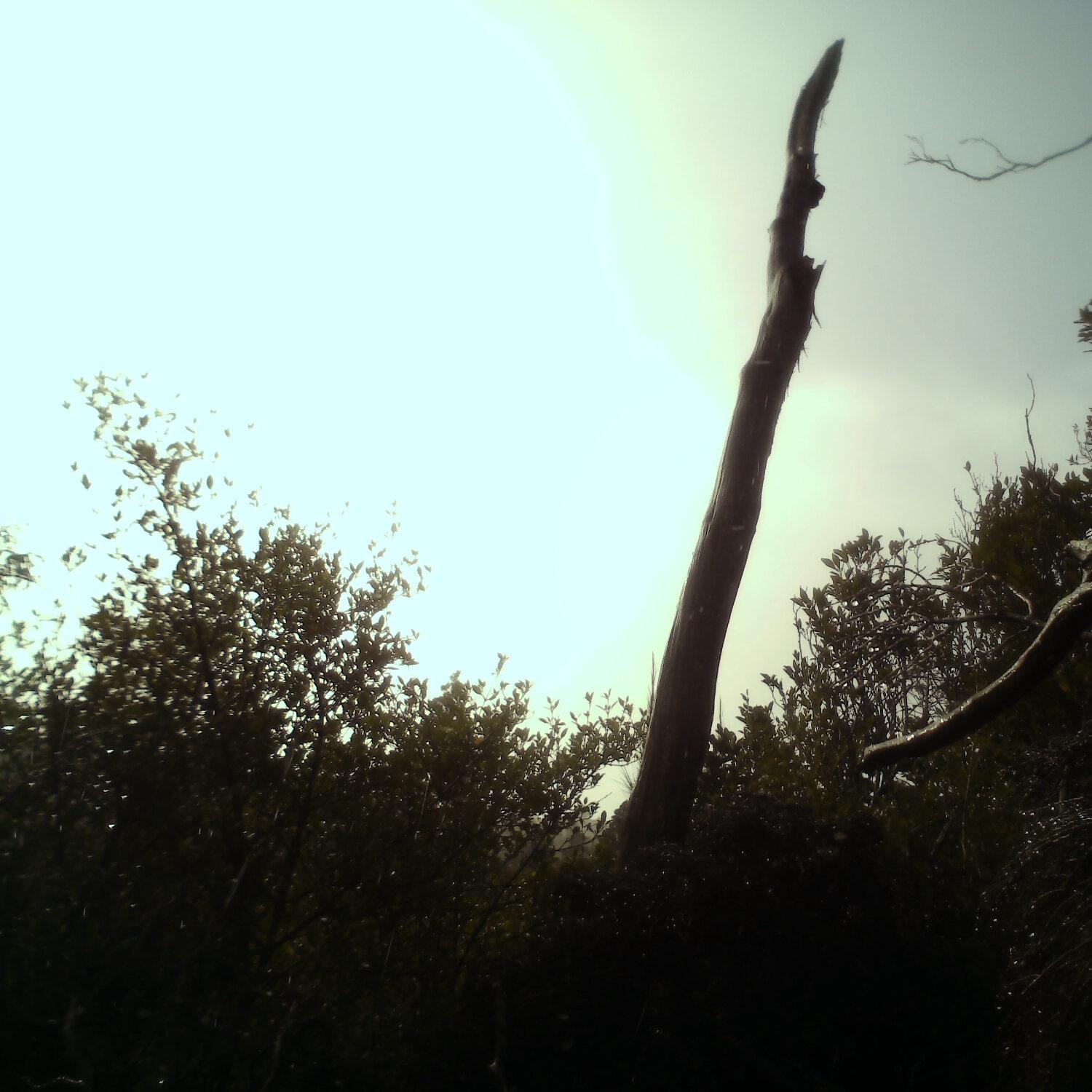 A photo captured from the webcam at the time the audio was recorded