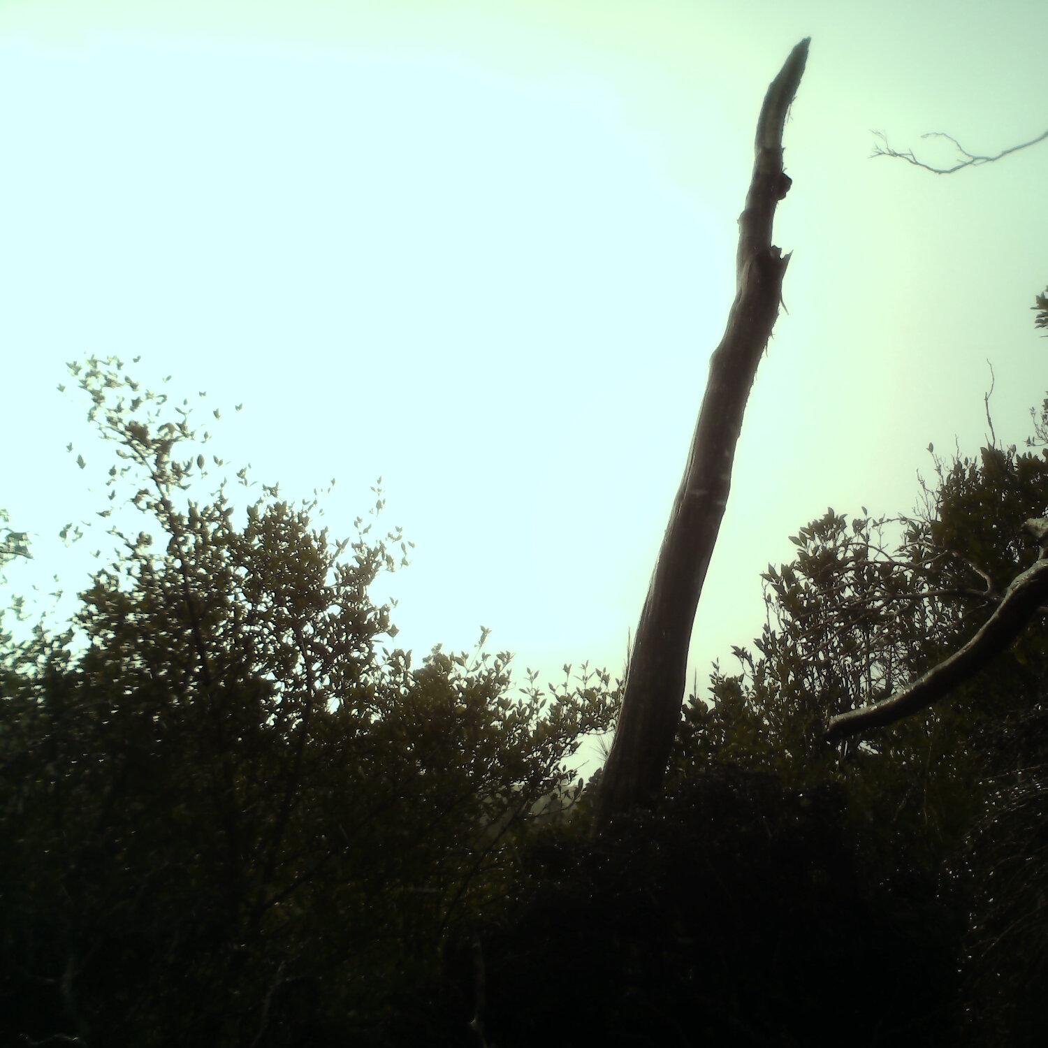 A photo captured from the webcam at the time the audio was recorded