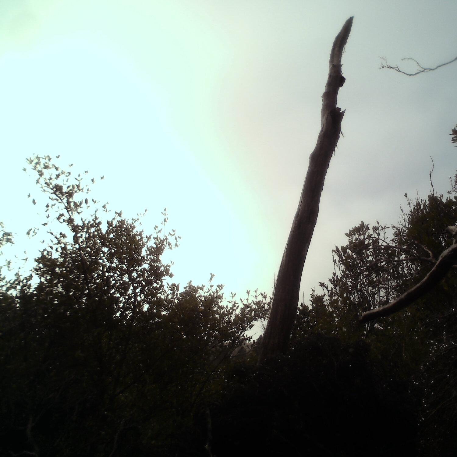 A photo captured from the webcam at the time the audio was recorded