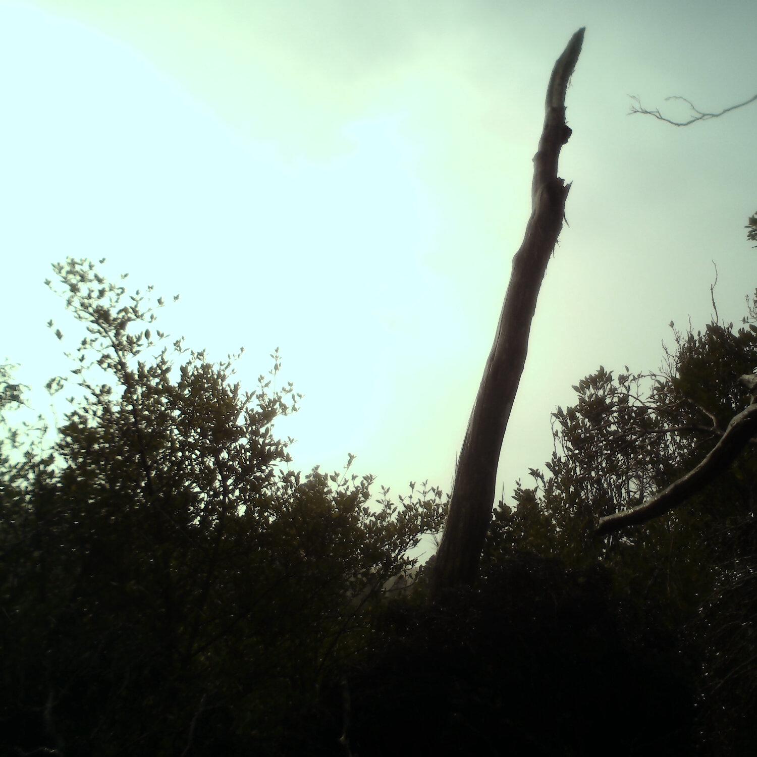 A photo captured from the webcam at the time the audio was recorded