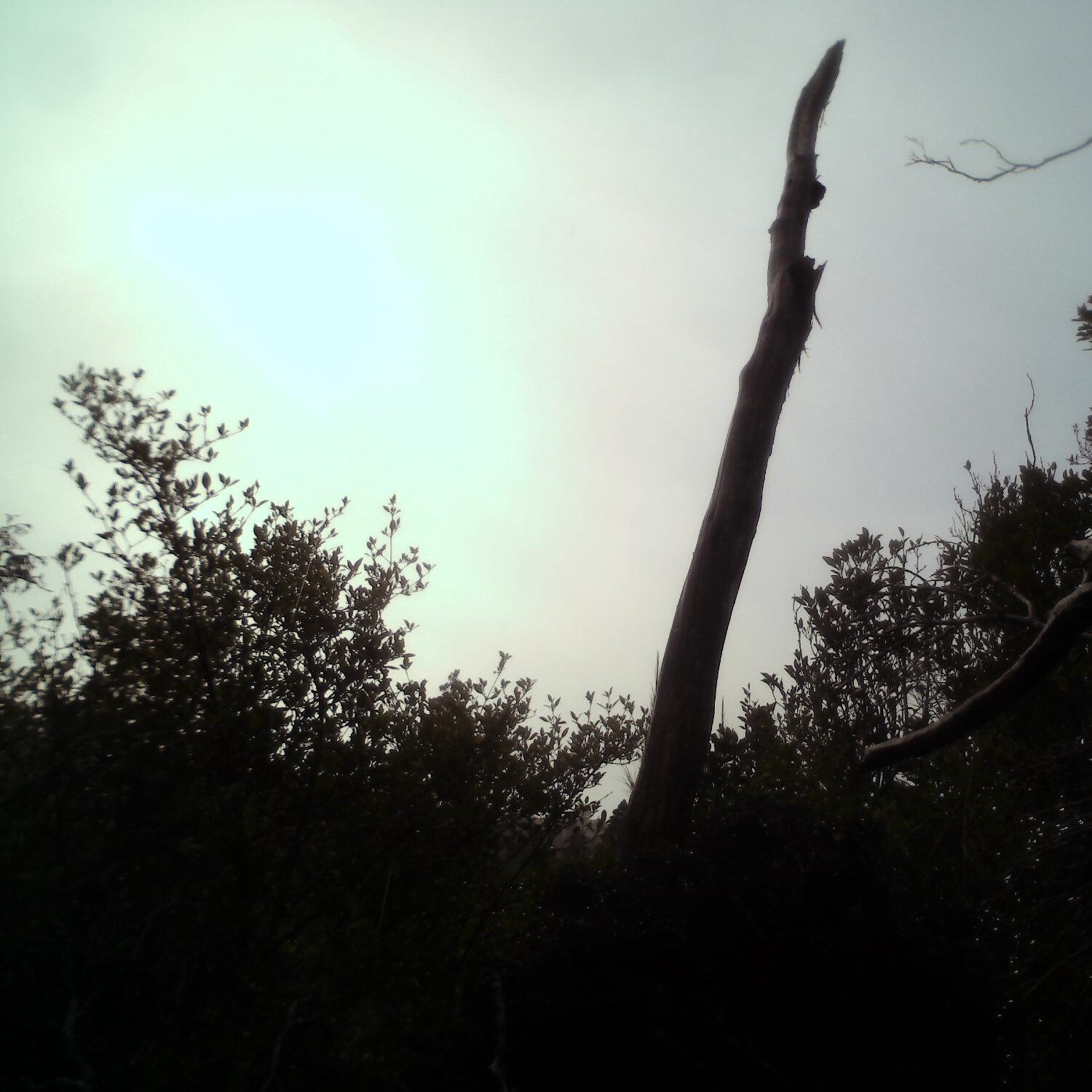A photo captured from the webcam at the time the audio was recorded