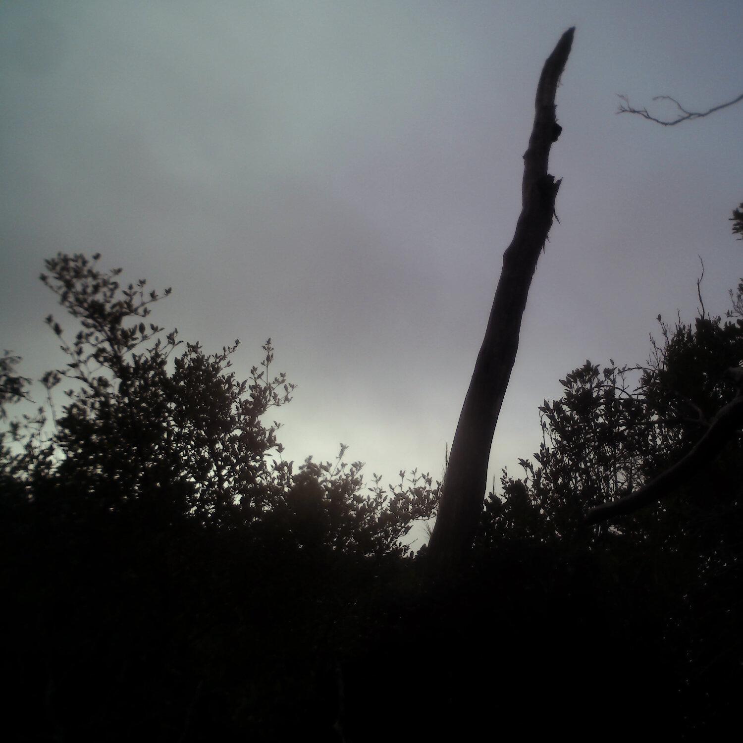 A photo captured from the webcam at the time the audio was recorded