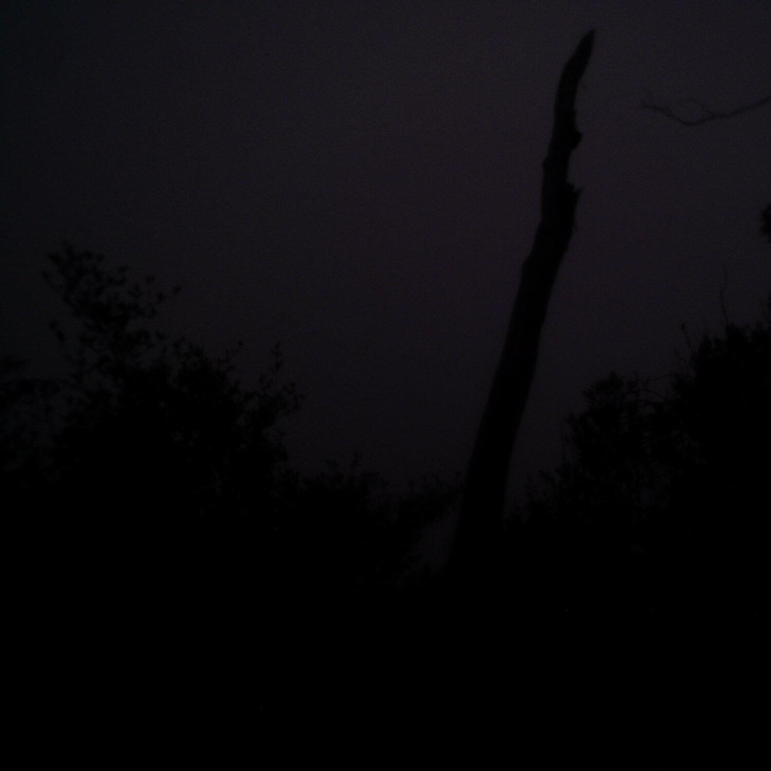 A photo captured from the webcam at the time the audio was recorded