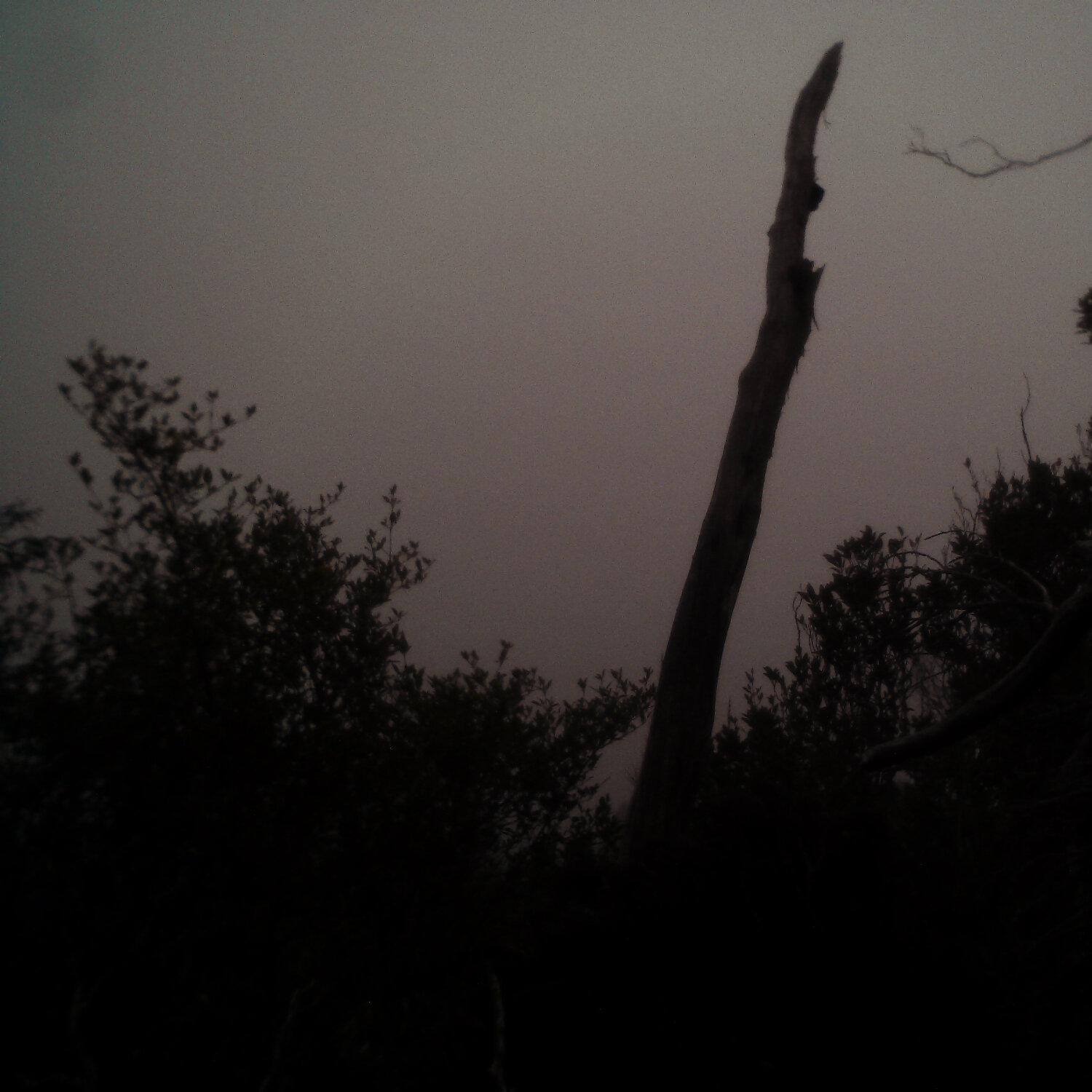 A photo captured from the webcam at the time the audio was recorded
