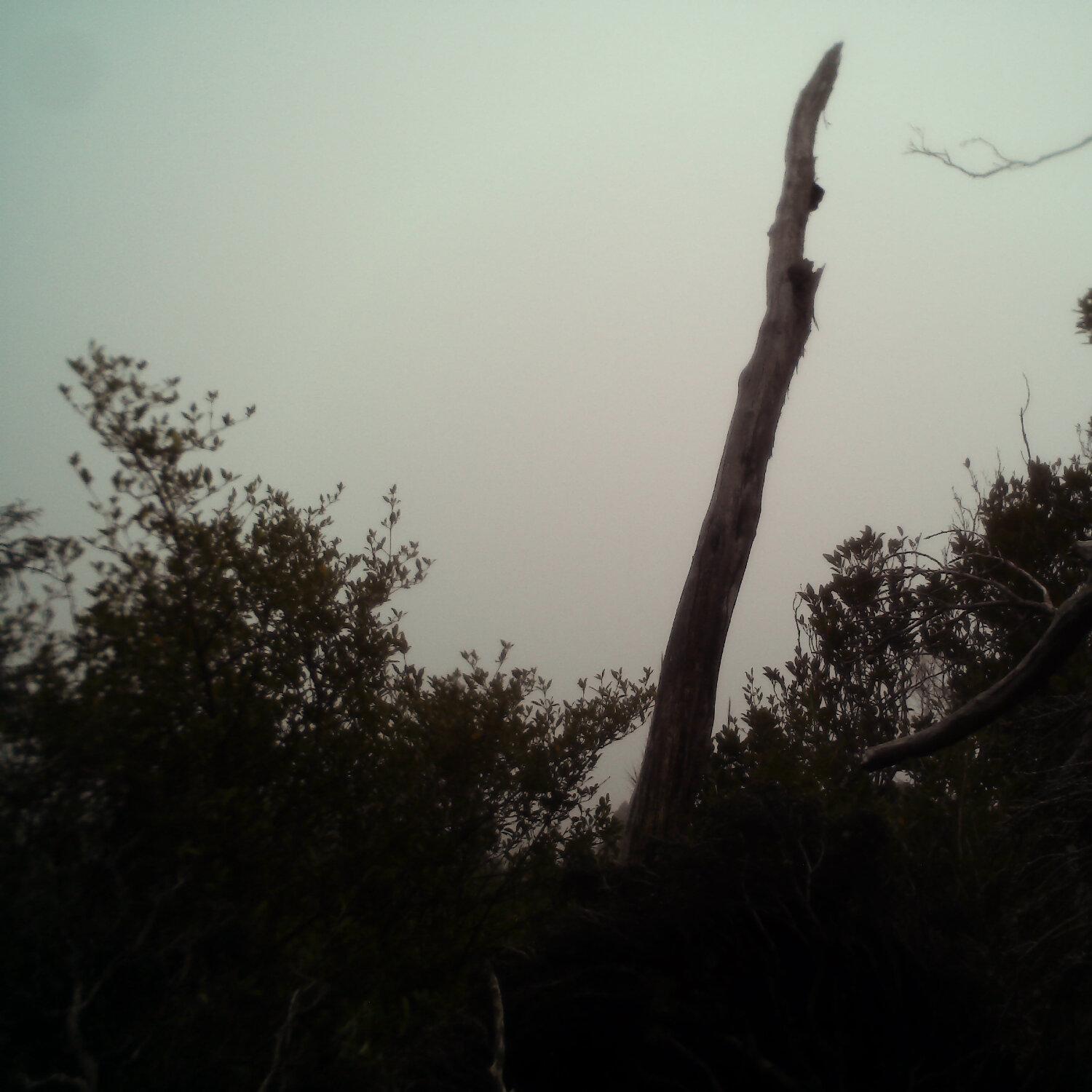 A photo captured from the webcam at the time the audio was recorded