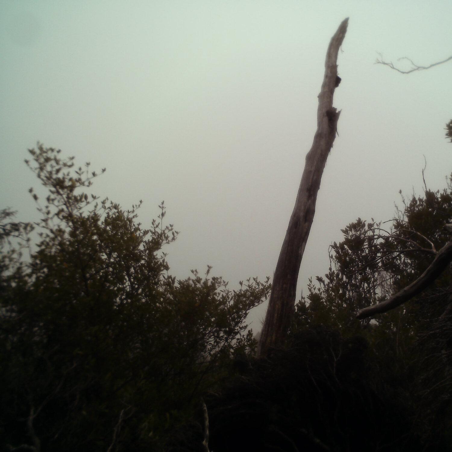 A photo captured from the webcam at the time the audio was recorded