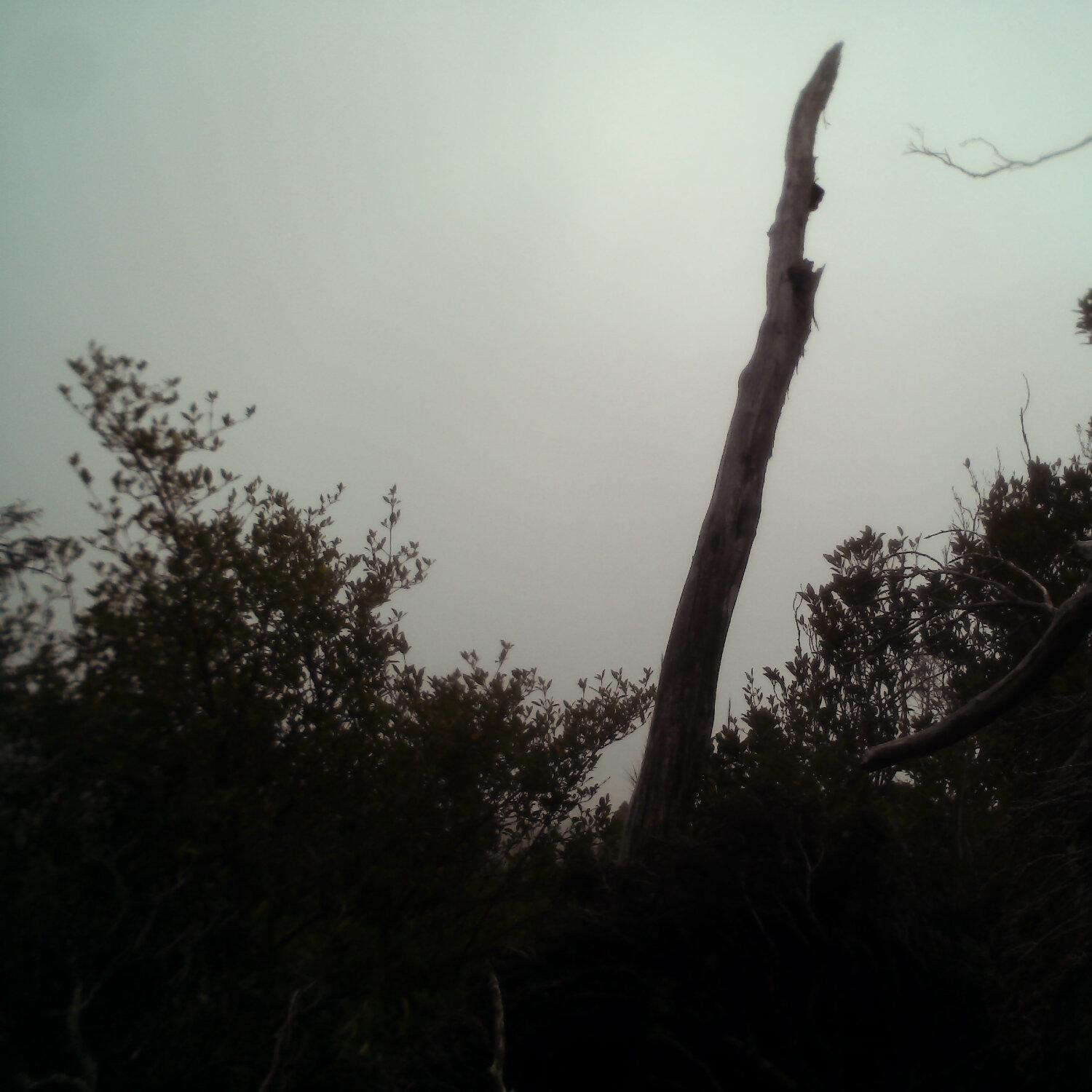 A photo captured from the webcam at the time the audio was recorded