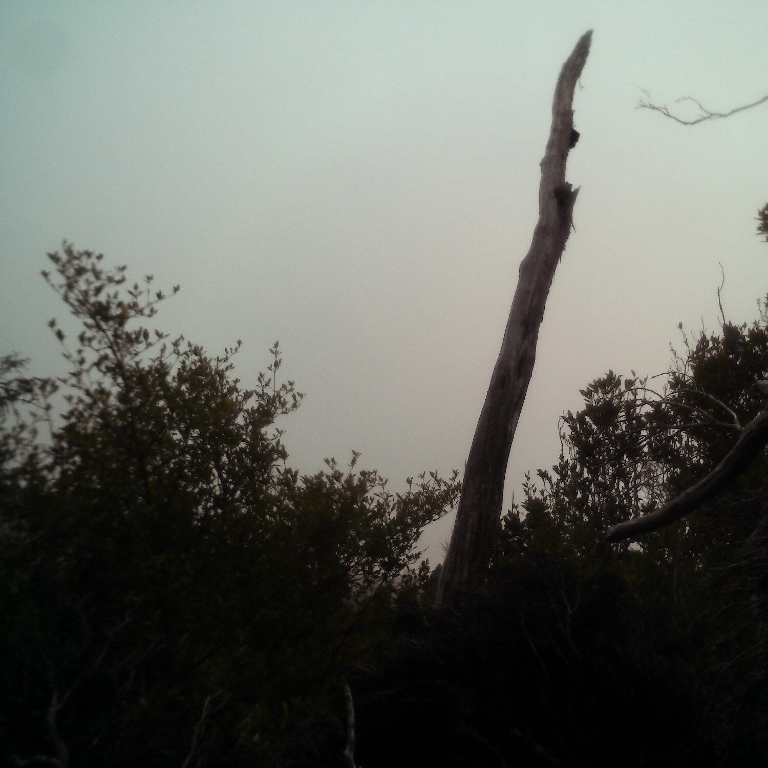 A photo captured from the webcam at the time the audio was recorded
