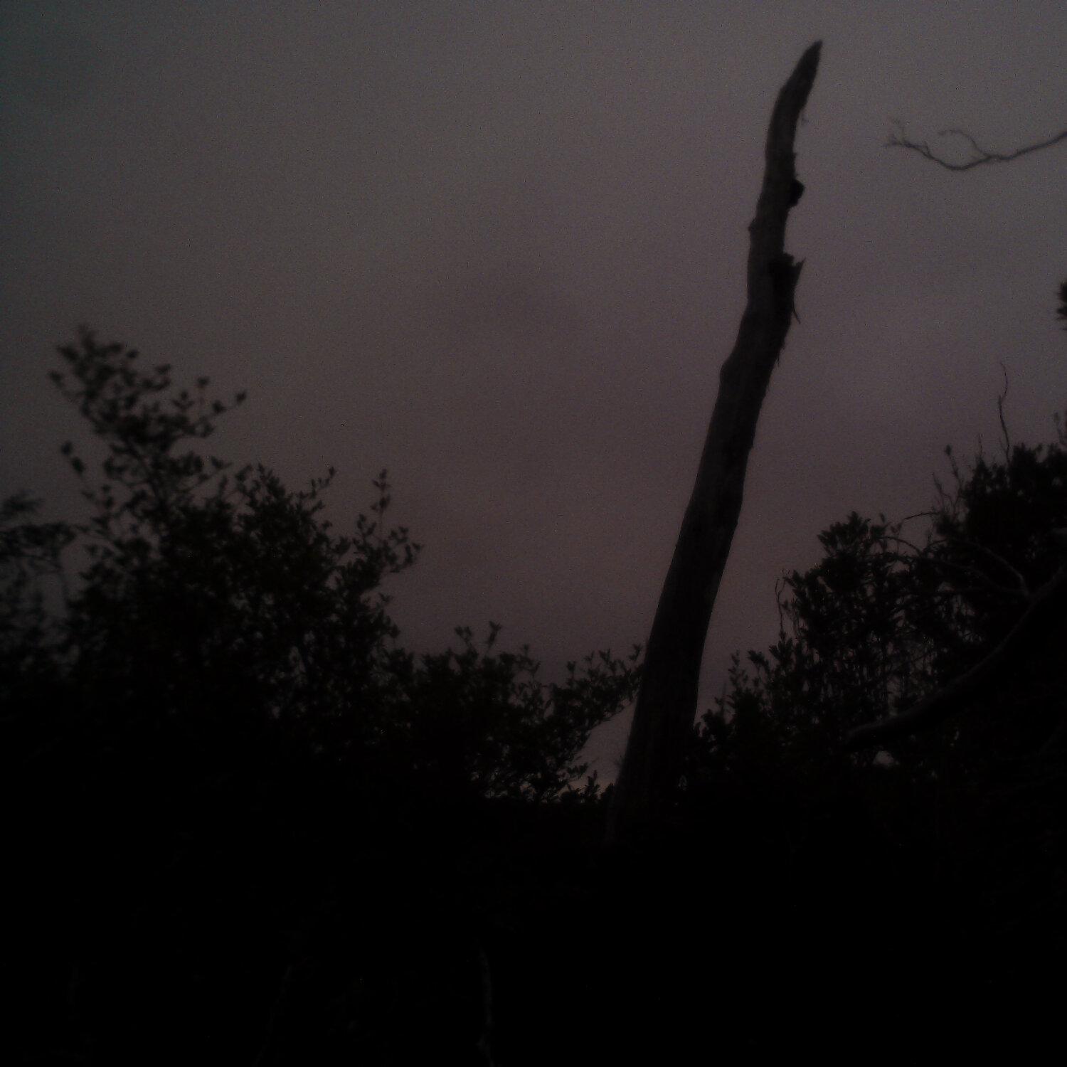 A photo captured from the webcam at the time the audio was recorded