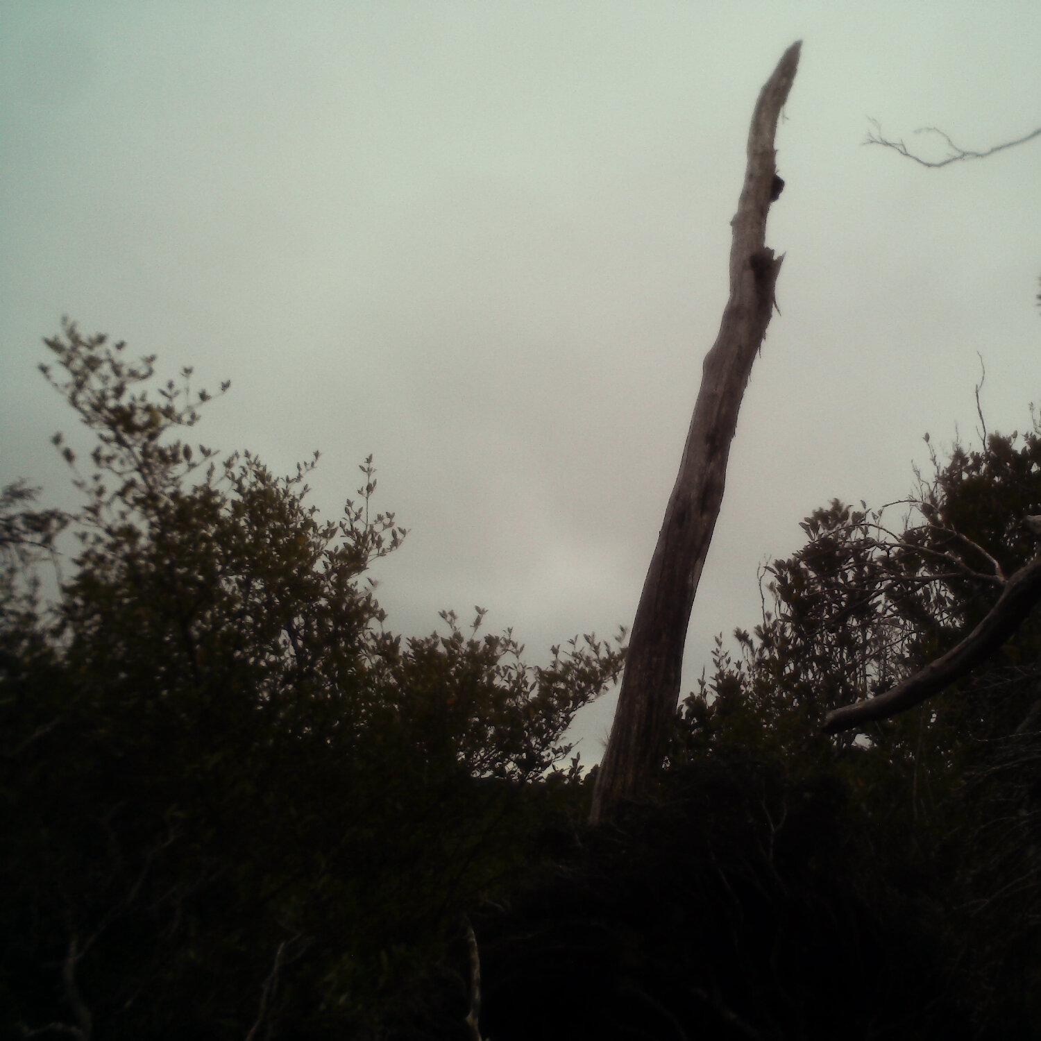 A photo captured from the webcam at the time the audio was recorded