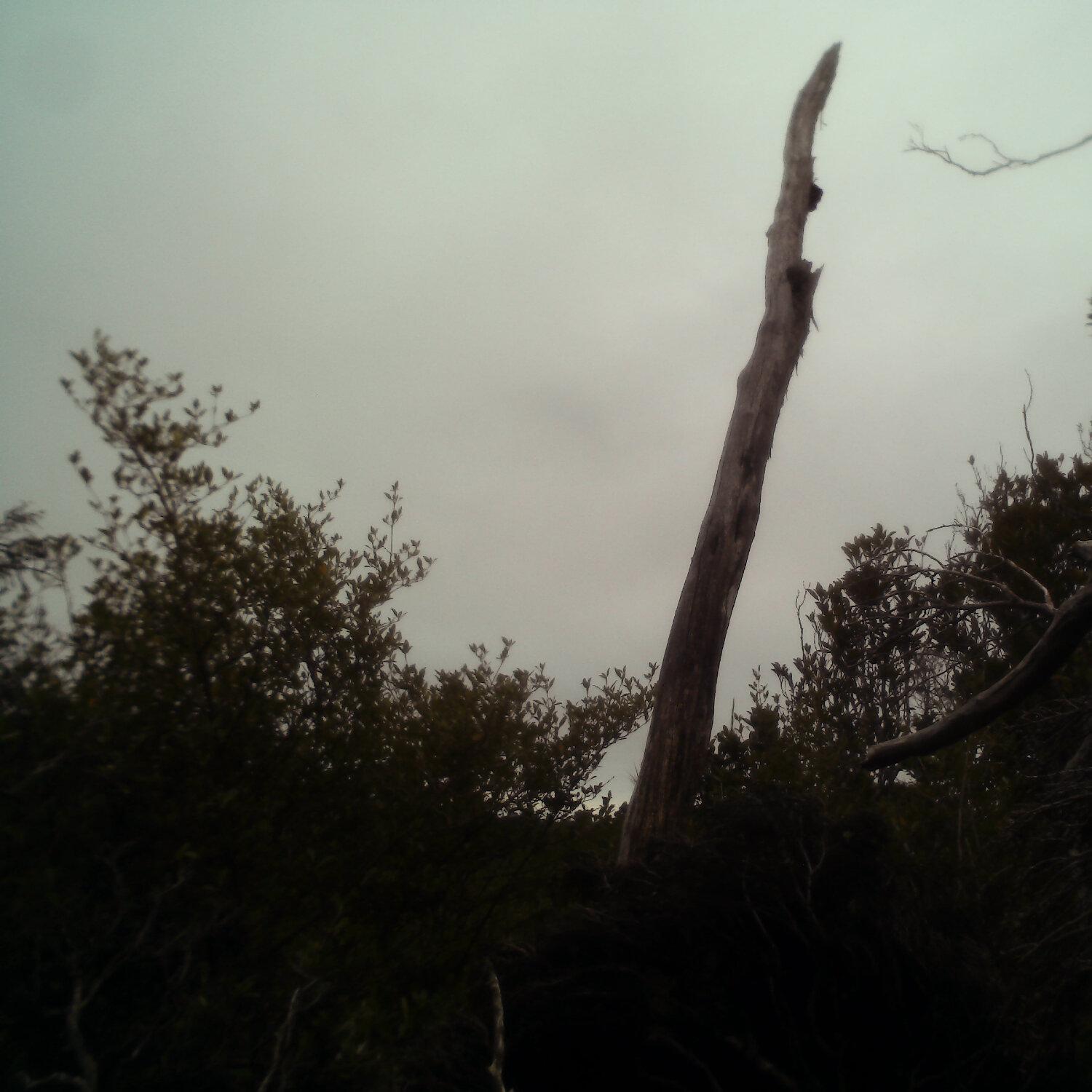 A photo captured from the webcam at the time the audio was recorded