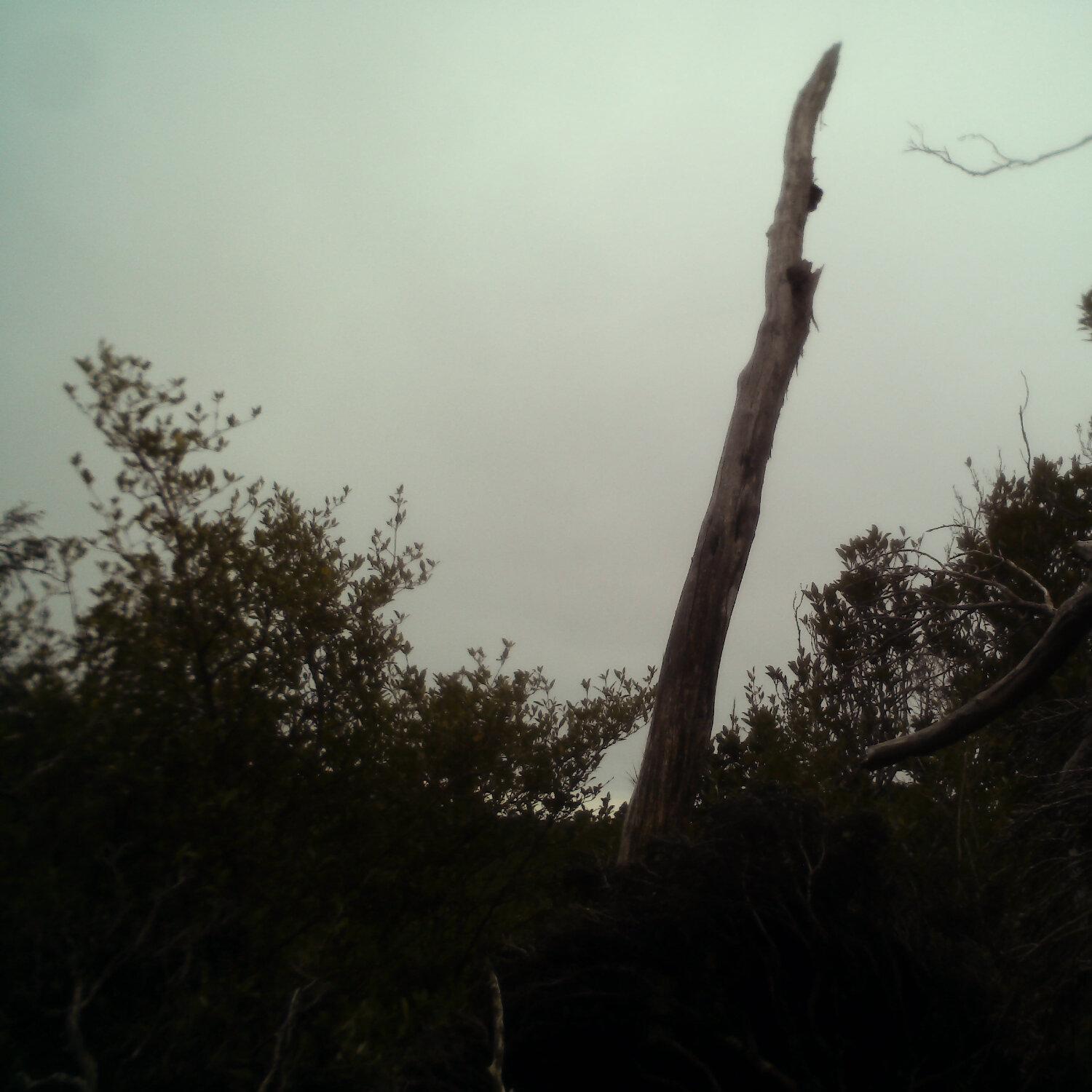 A photo captured from the webcam at the time the audio was recorded