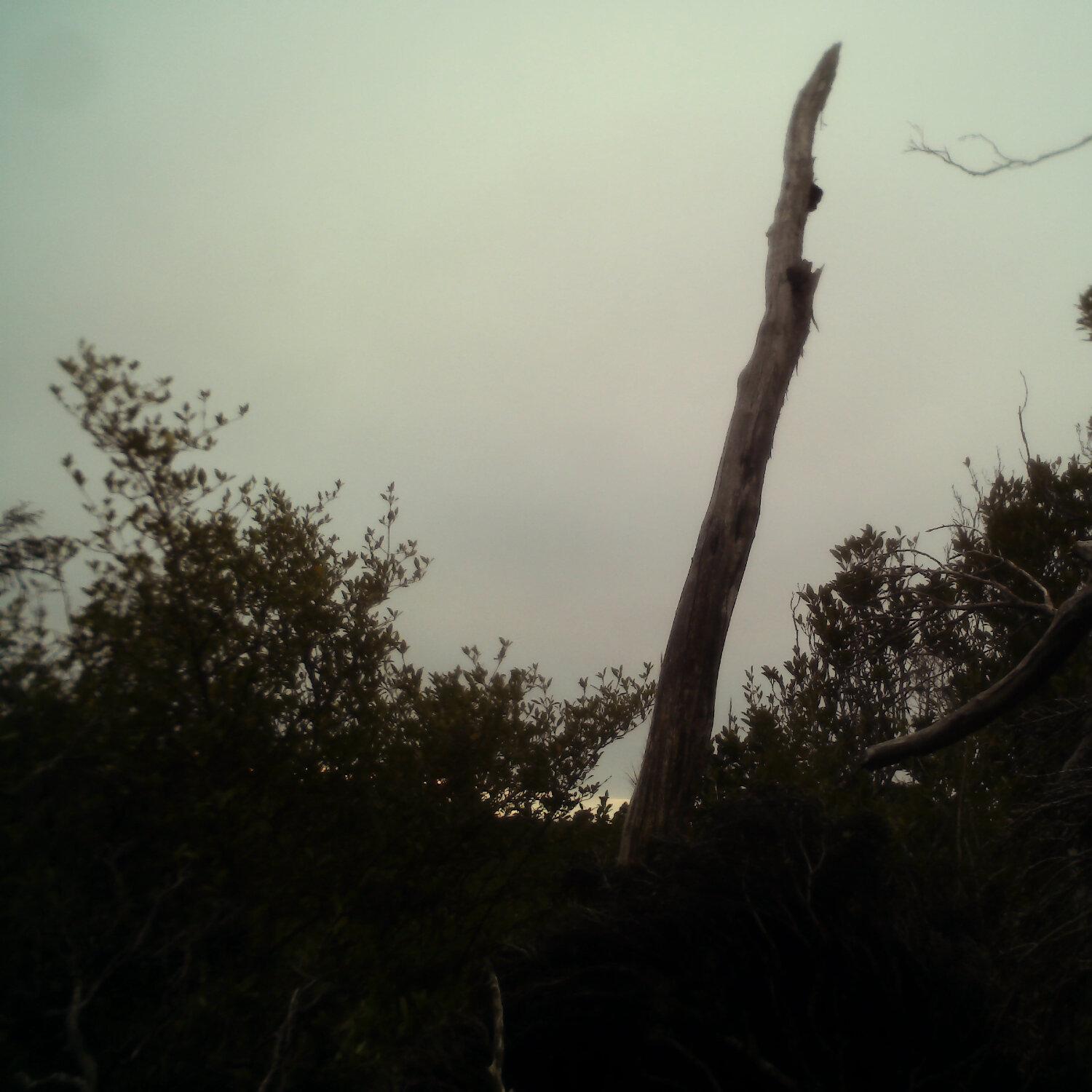 A photo captured from the webcam at the time the audio was recorded