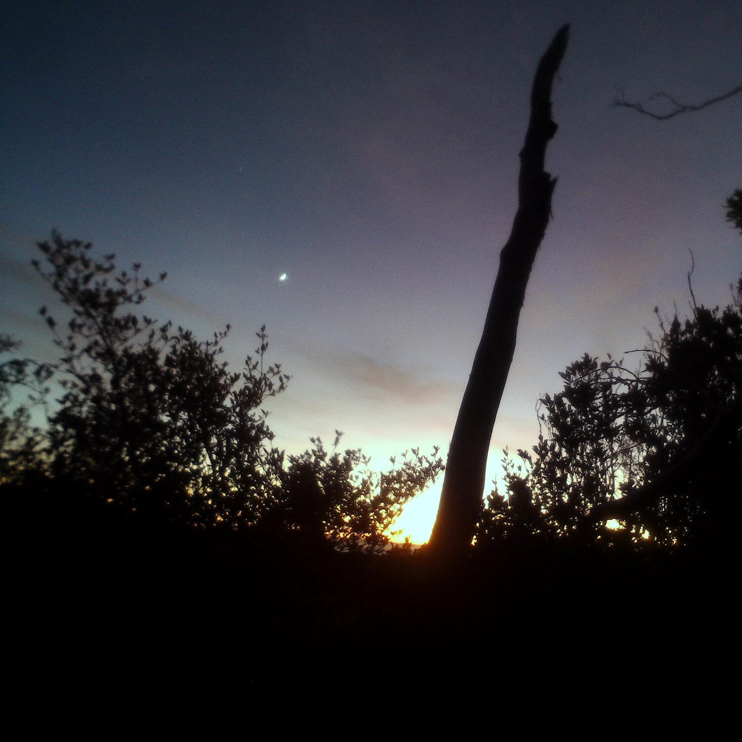 A photo captured from the webcam at the time the audio was recorded